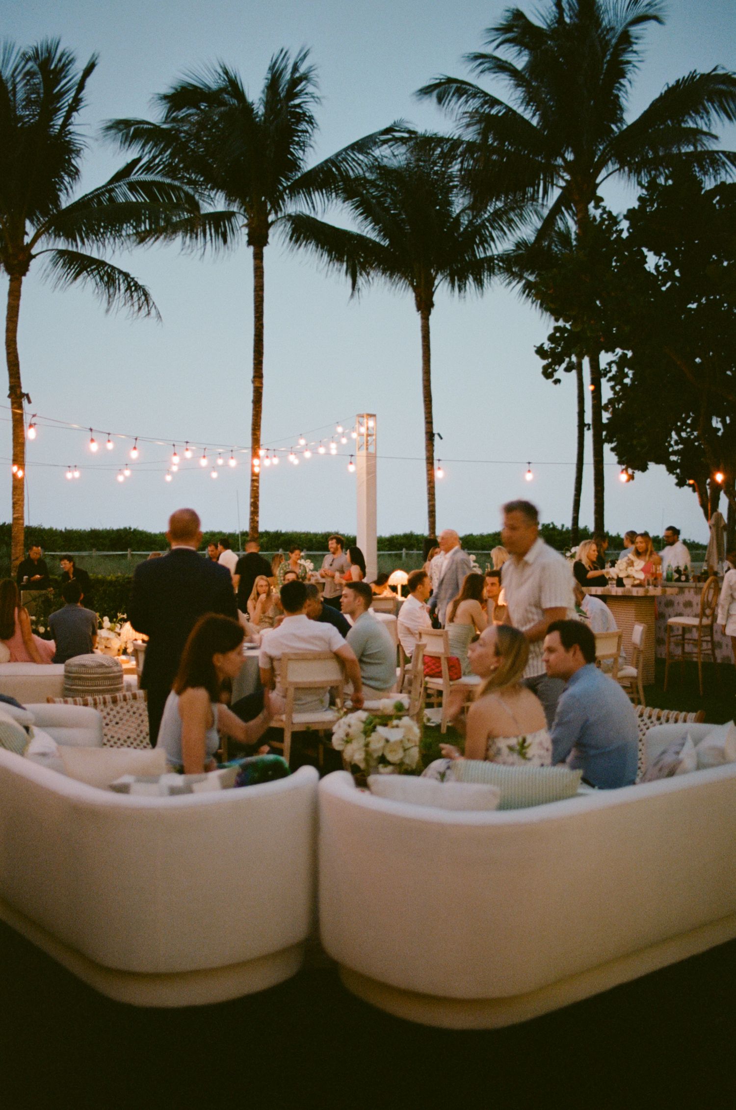 Outdoor evening reception with string lights and palm trees silhouetted against sky.