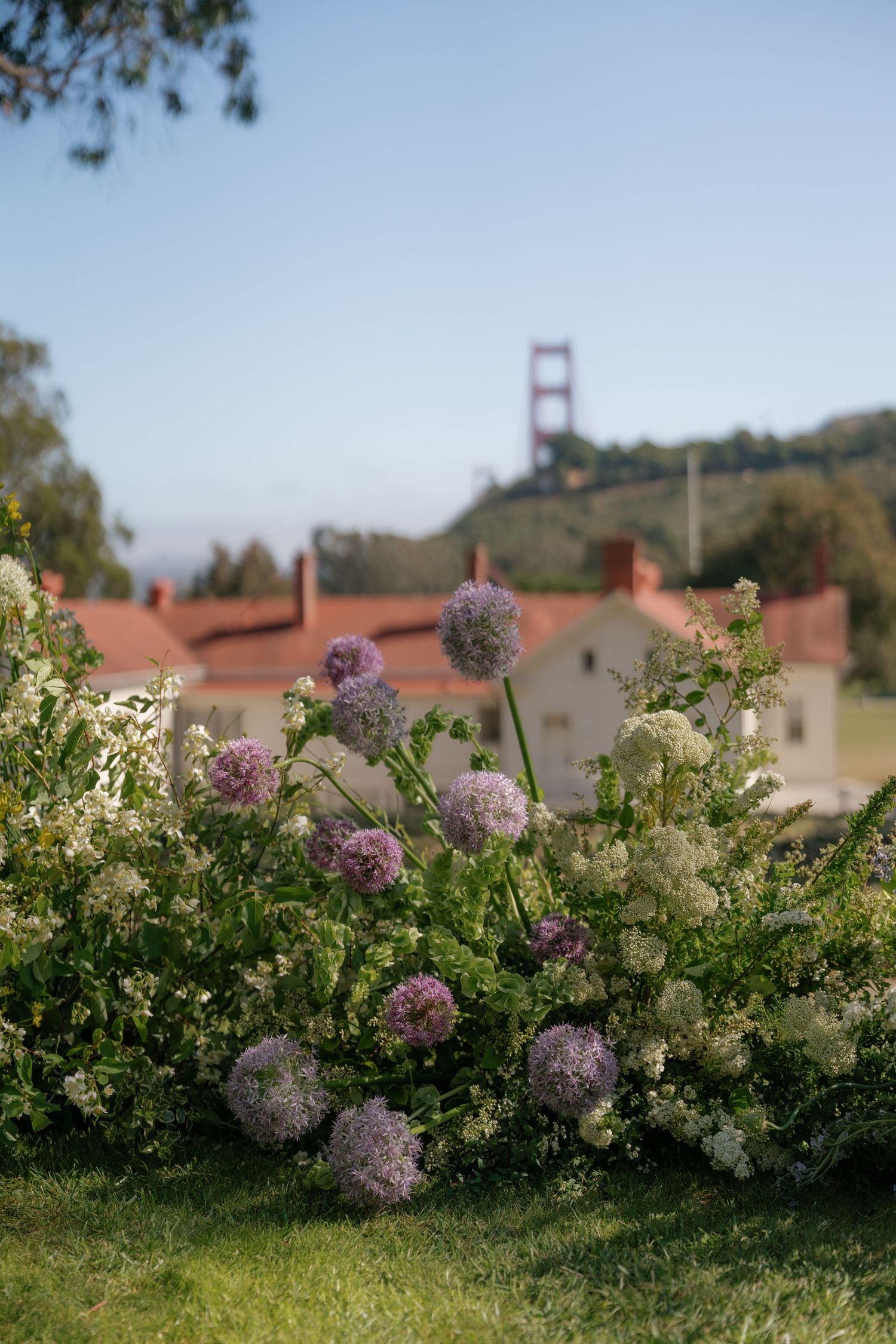 Purple and white flowers blooming in garden with Golden Gate Bridge visible in distance.