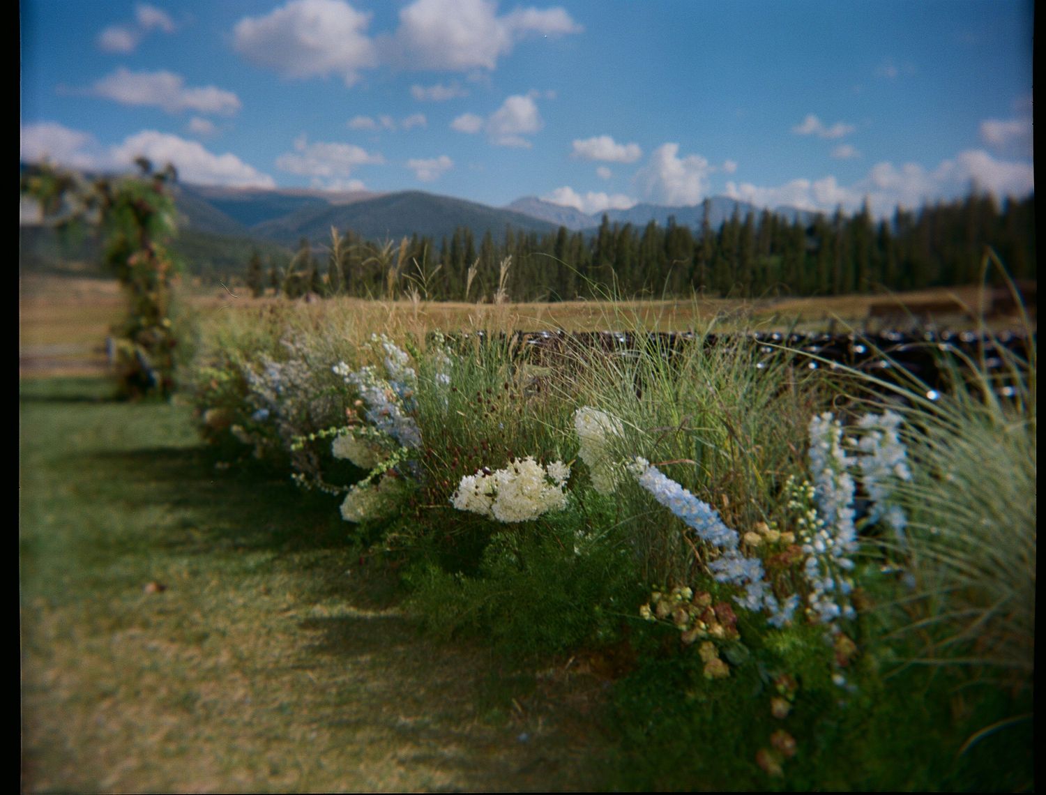Mountain landscape with wildflowers and natural scenery at a wedding venue.