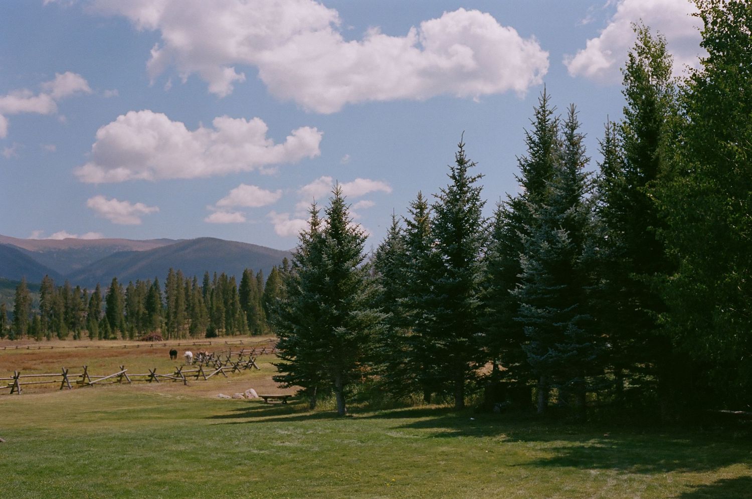 Mountain landscape with evergreen trees and rolling hills under blue skies.