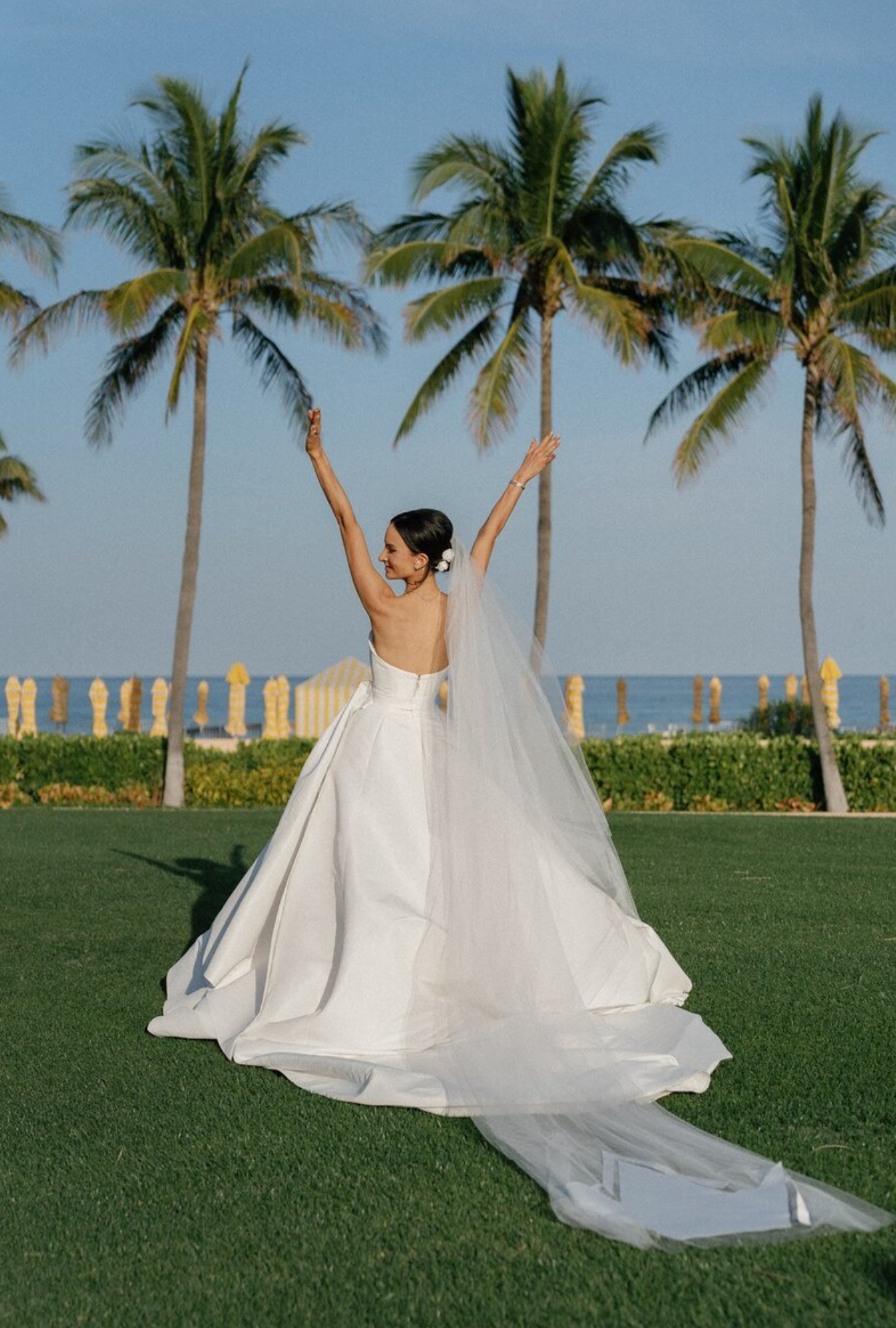 Wedding dress flowing dramatically against a tropical palm tree backdrop.