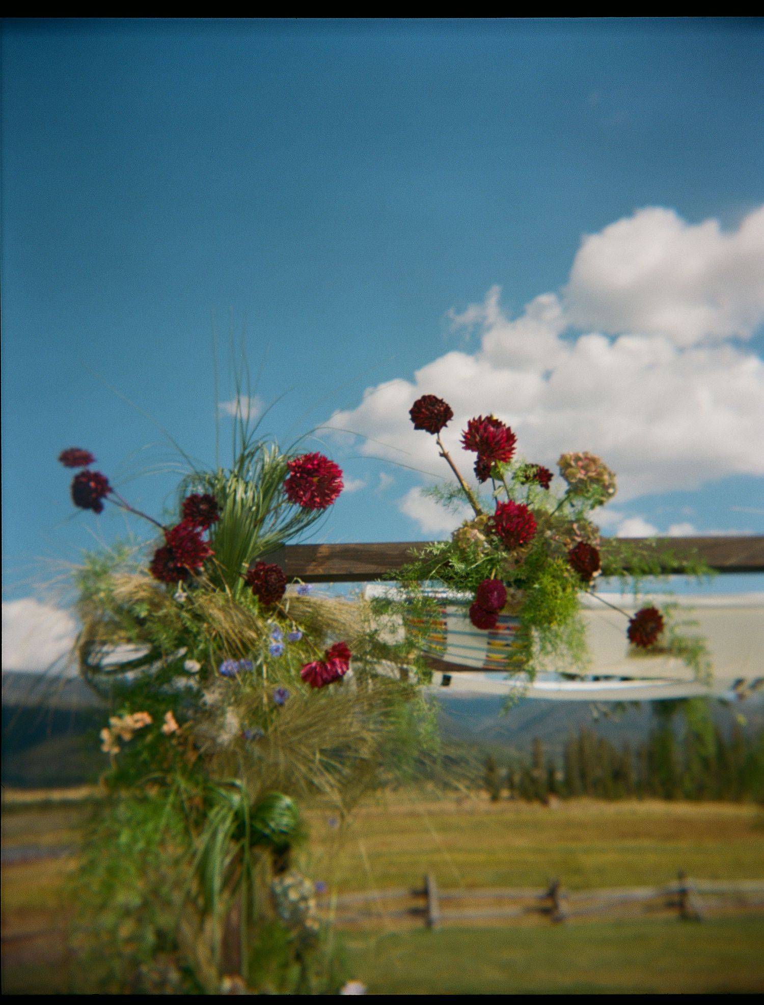 Red and white flowers arranged decoratively against a blue sky with mountains in the background.