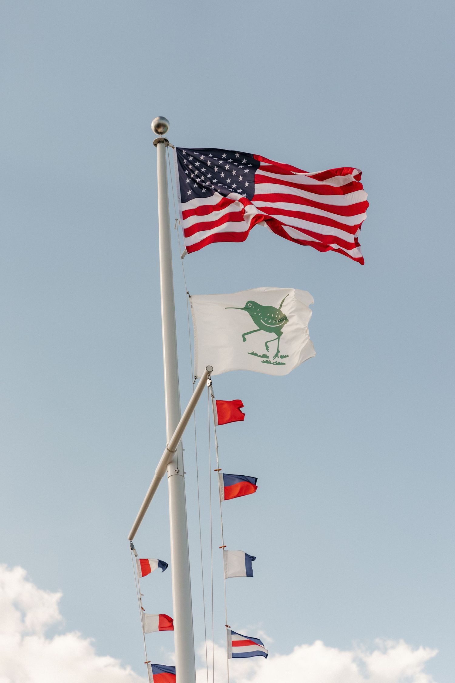 American flag and bird emblem flag wave on tall flagpole with colorful nautical flags against blue sky.
