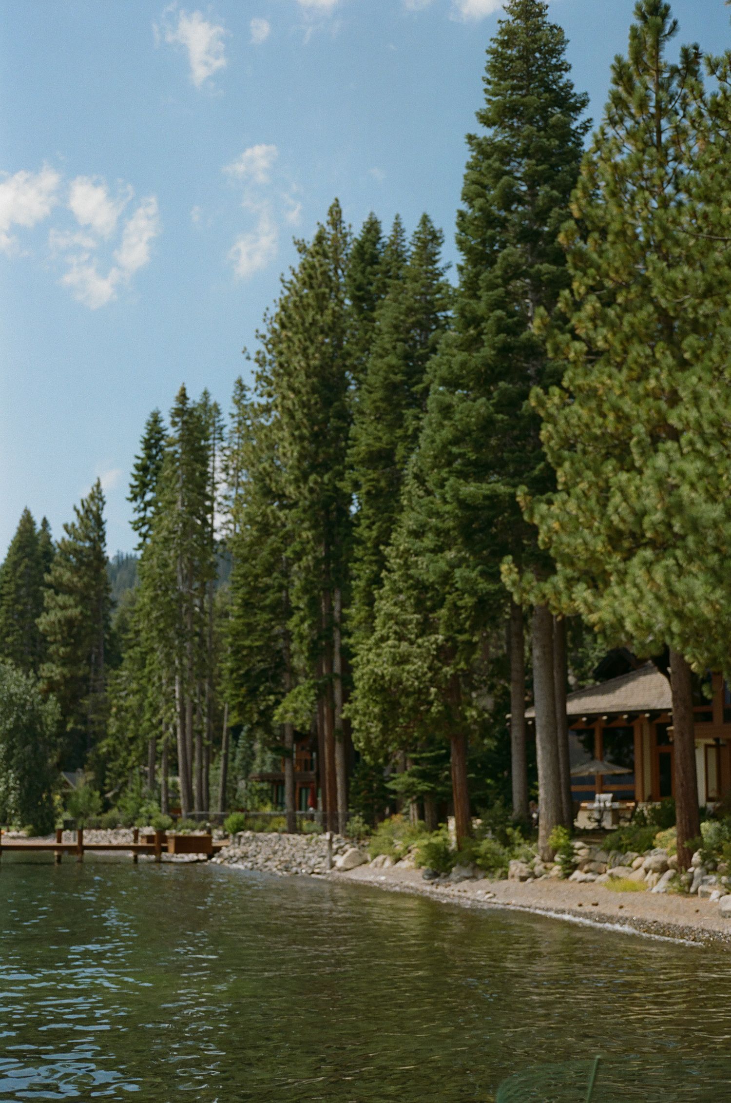 Scenic lakefront view with pine trees and cabins along the rocky shoreline under a blue summer sky.