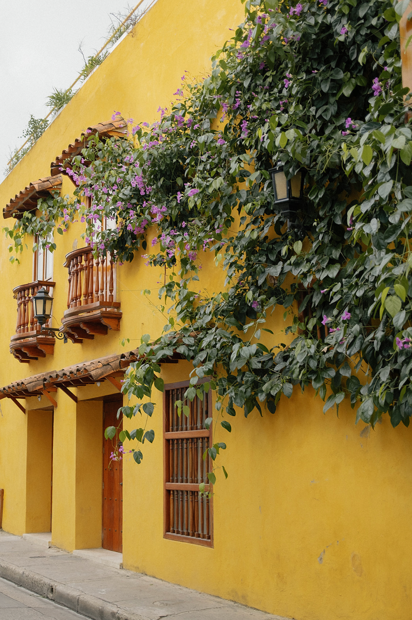 Colonial style yellow wall with climbing vines and wrought iron window details in sequence.