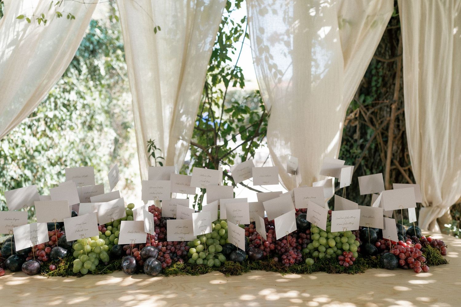 Elegant wedding seating cards displayed with floral decorations under white draped fabric.