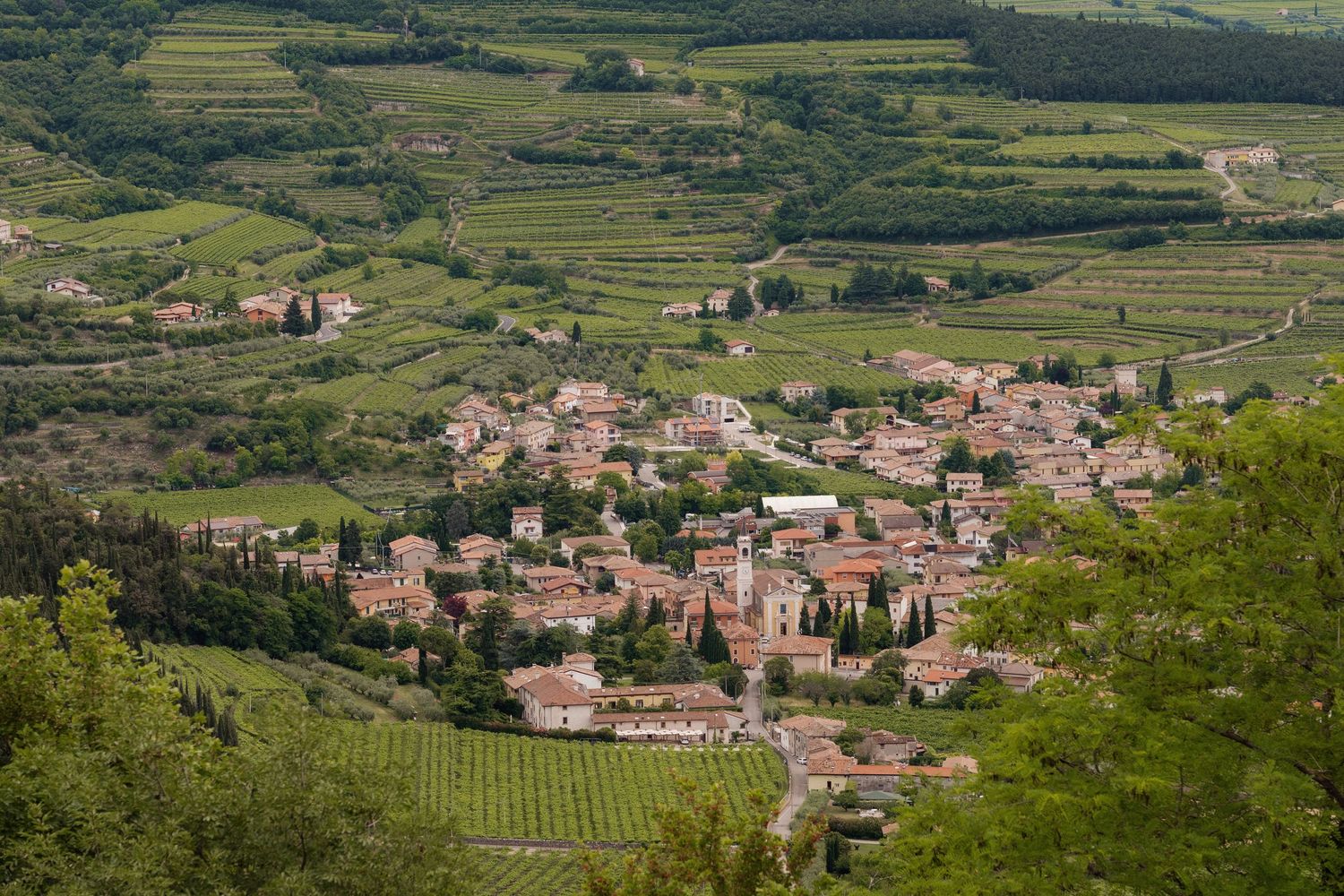 Aerial view of a picturesque Tuscan village surrounded by lush vineyards and rolling green hills.