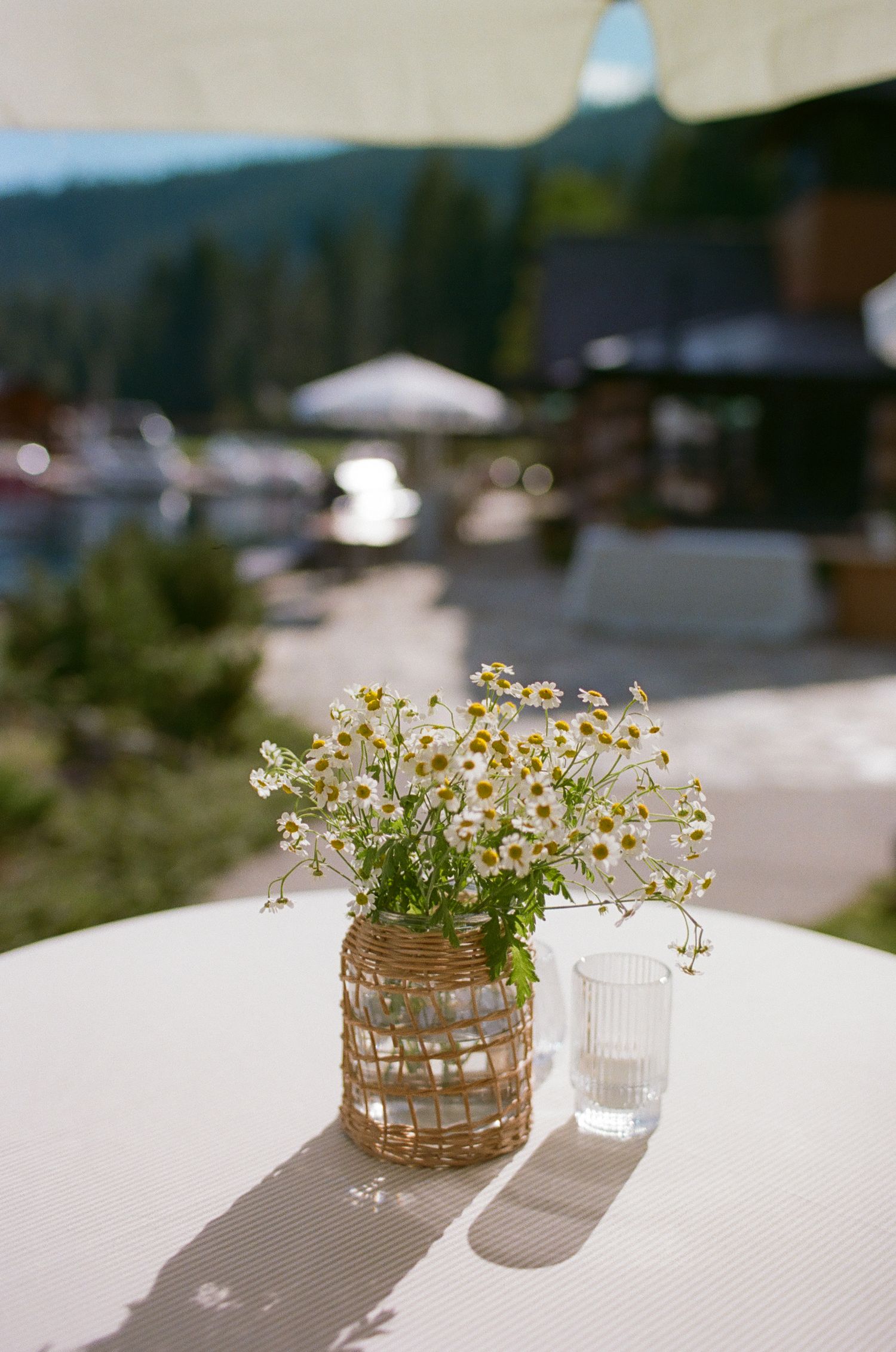Mason jar filled with delicate white daisies on a white tablecloth casting shadows in sunlight.