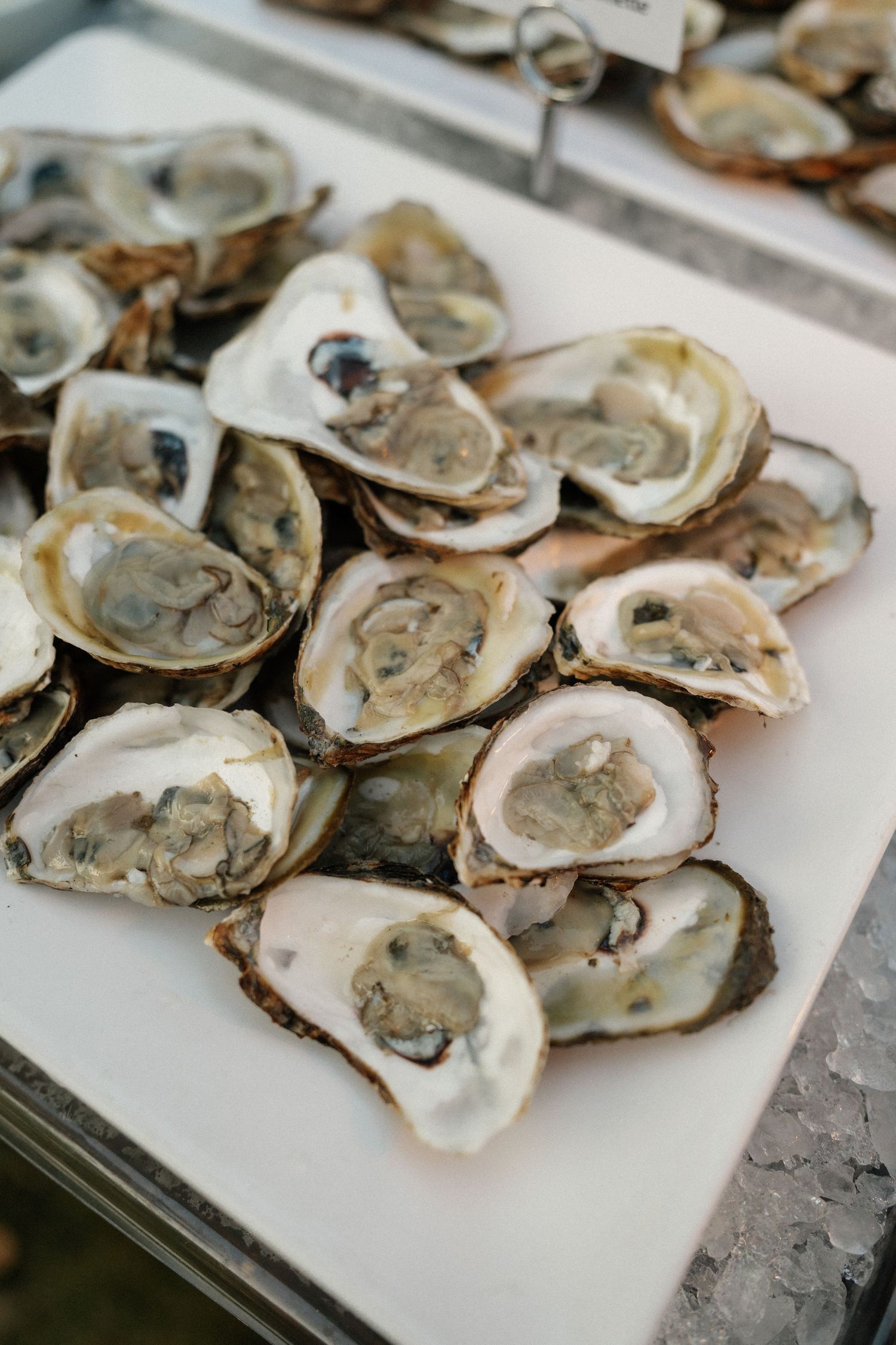 Fresh shucked oysters arranged on a white serving platter.