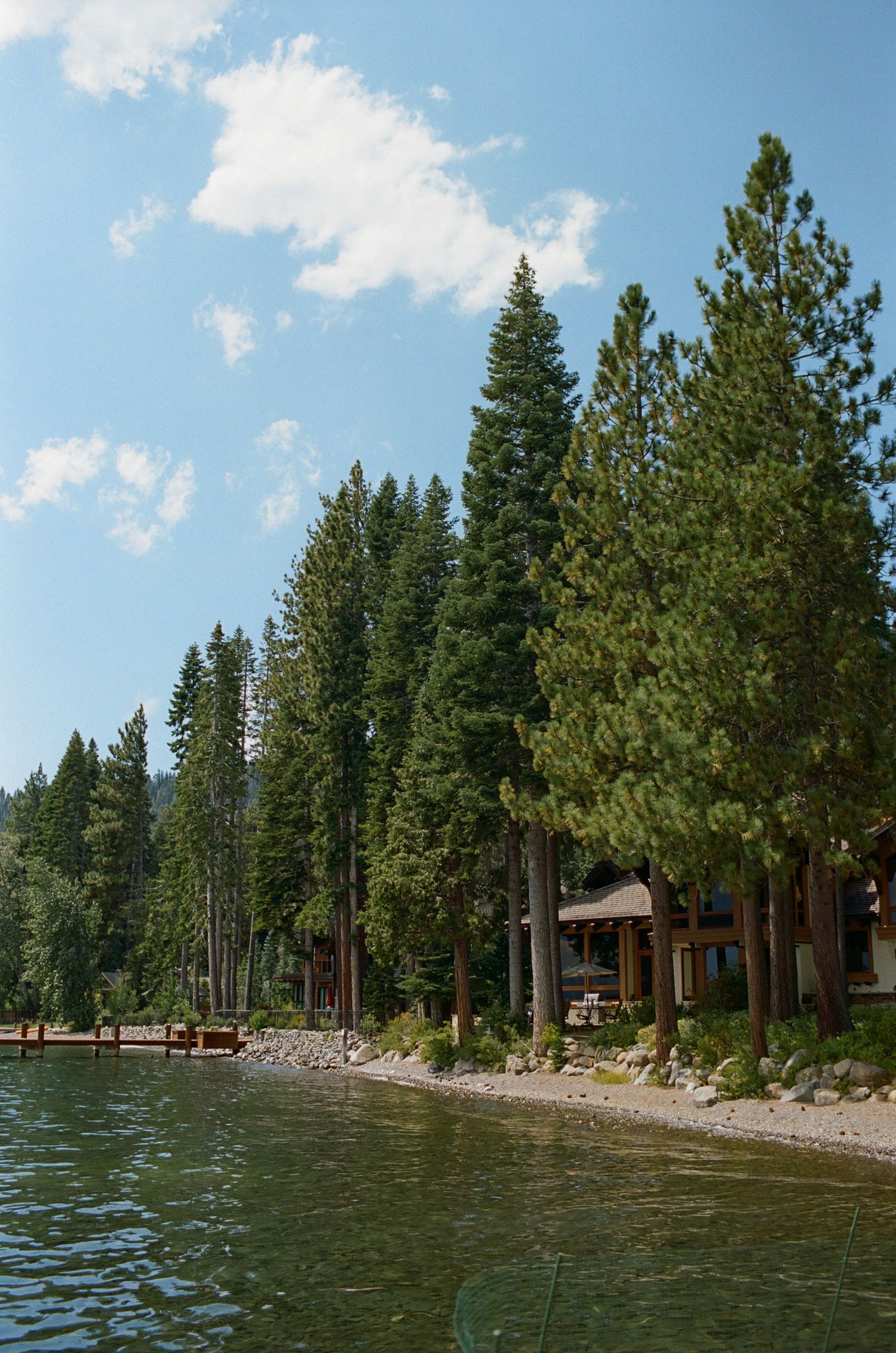 Lakeside cabin retreat with tall pine trees and a rocky shoreline on a sunny day.