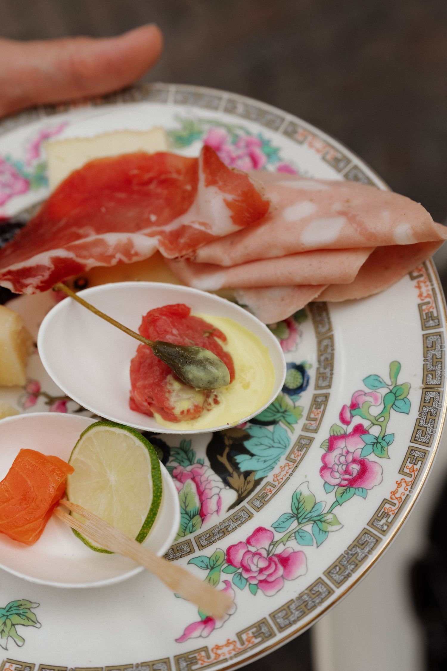 Elegant floral china plate held by hand featuring prosciutto, smoked salmon skewer, lime, and sauce with capers.