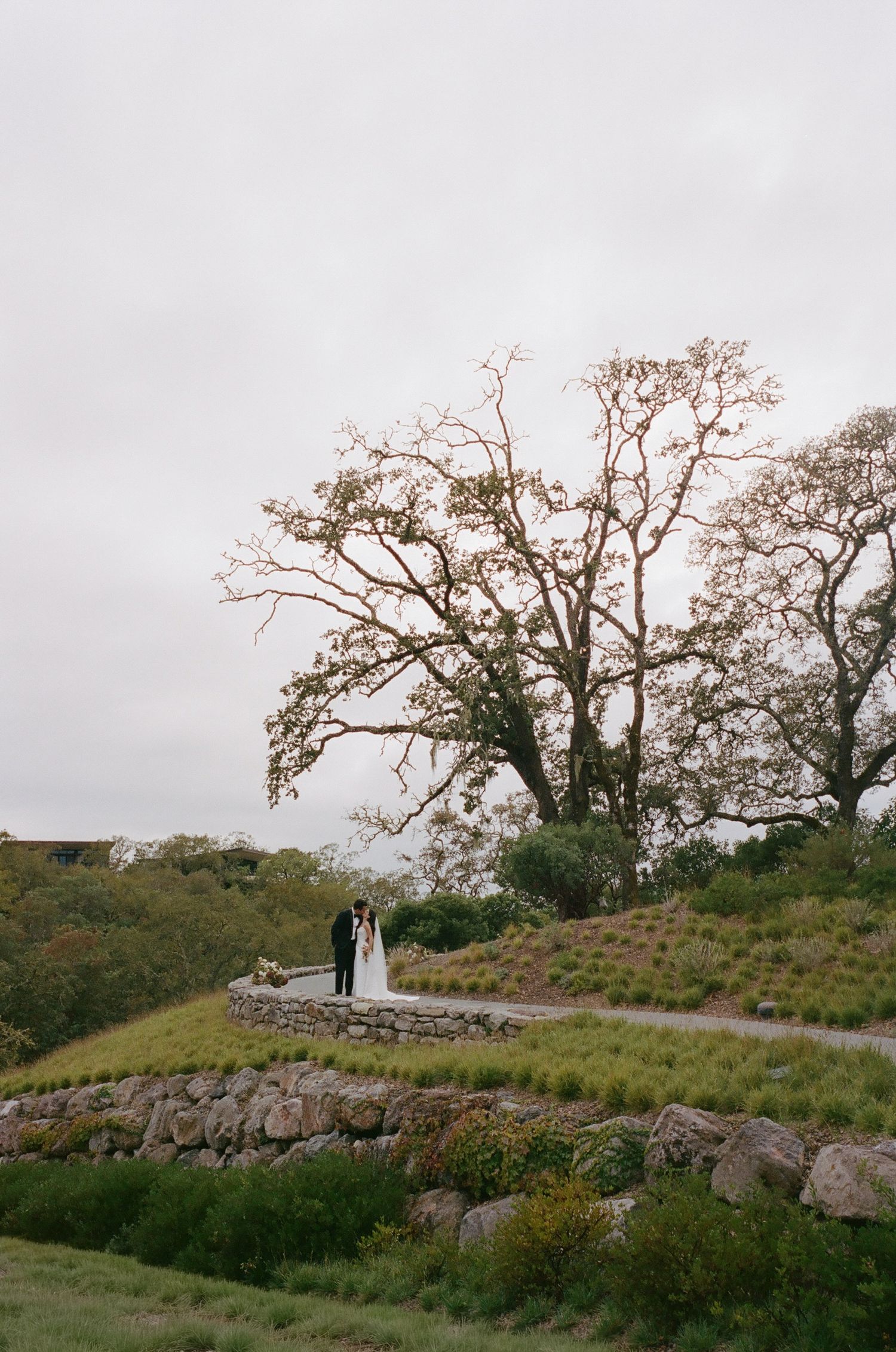 Scenic mountain landscape with blooming cherry trees along a rustic stone wall pathway.