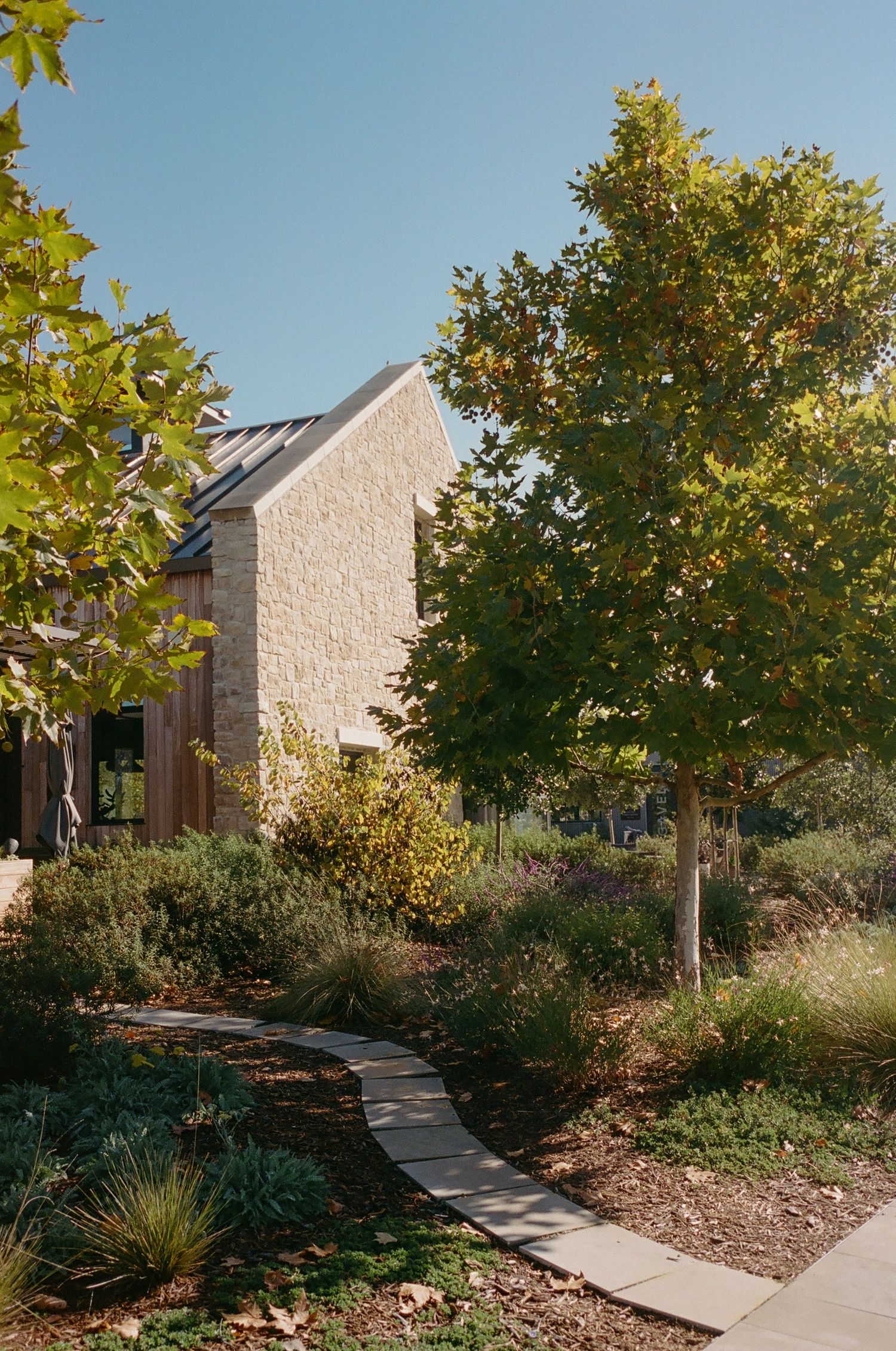 Stone pathway leading to modern building surrounded by landscaped garden and trees.