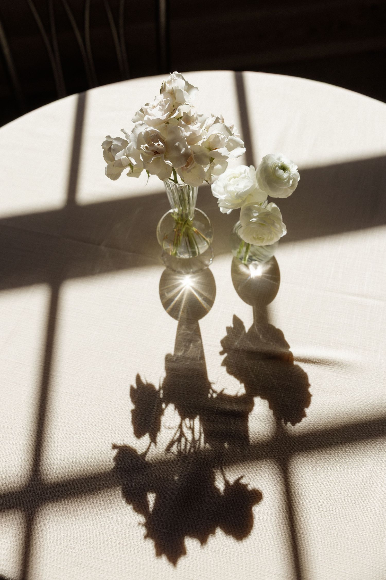 White flowers in glass vases casting dramatic shadows on a light surface.
