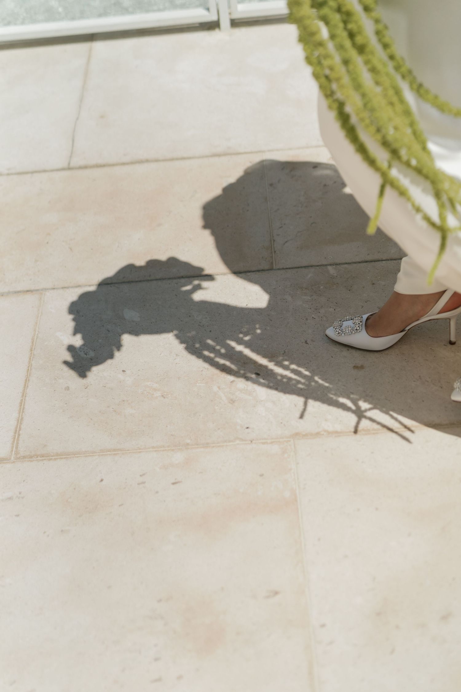 A dramatic shadow cast on light tile flooring with a glimpse of a silver shoe and hanging greenery.