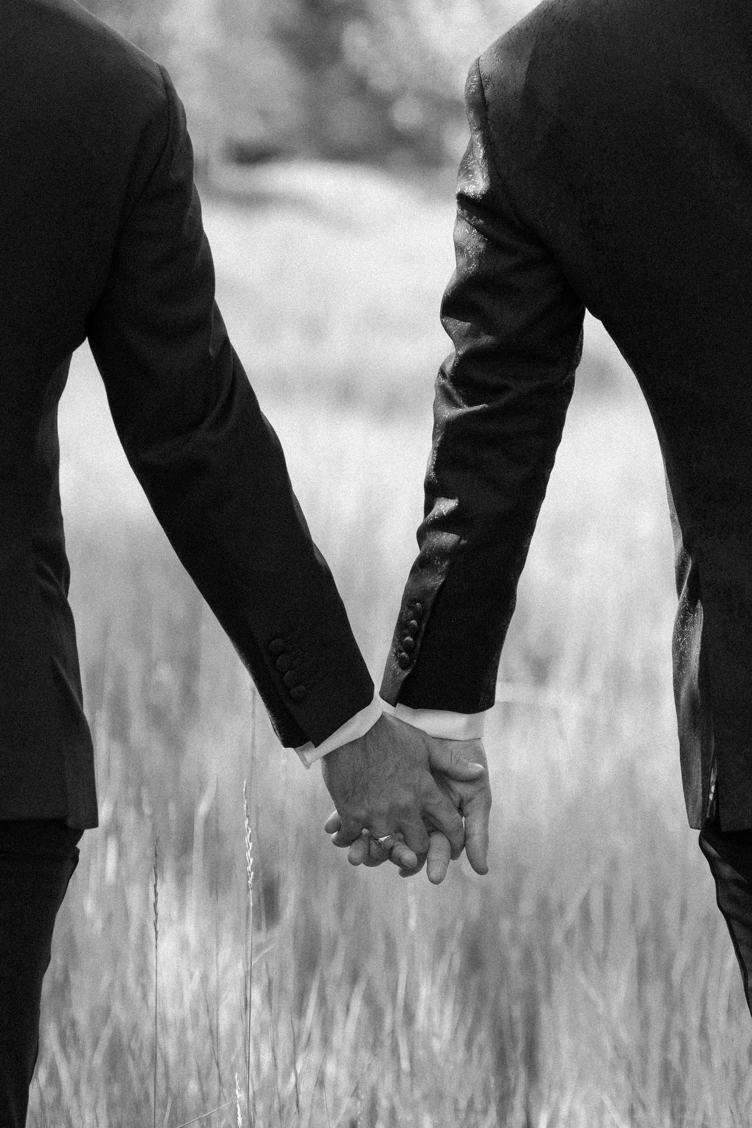 Black and white image of hands reaching toward each other in tall grass.