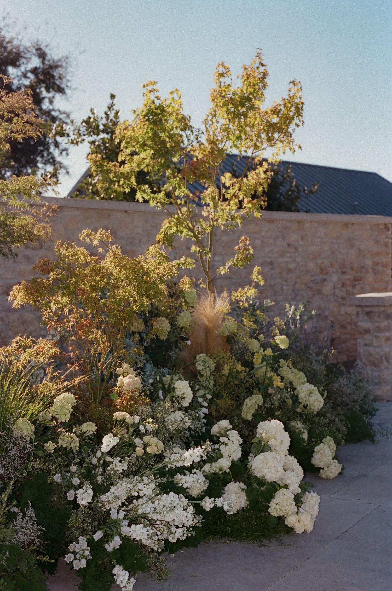 White hydrangeas and yellow flowering plants bloom against a stone building exterior.