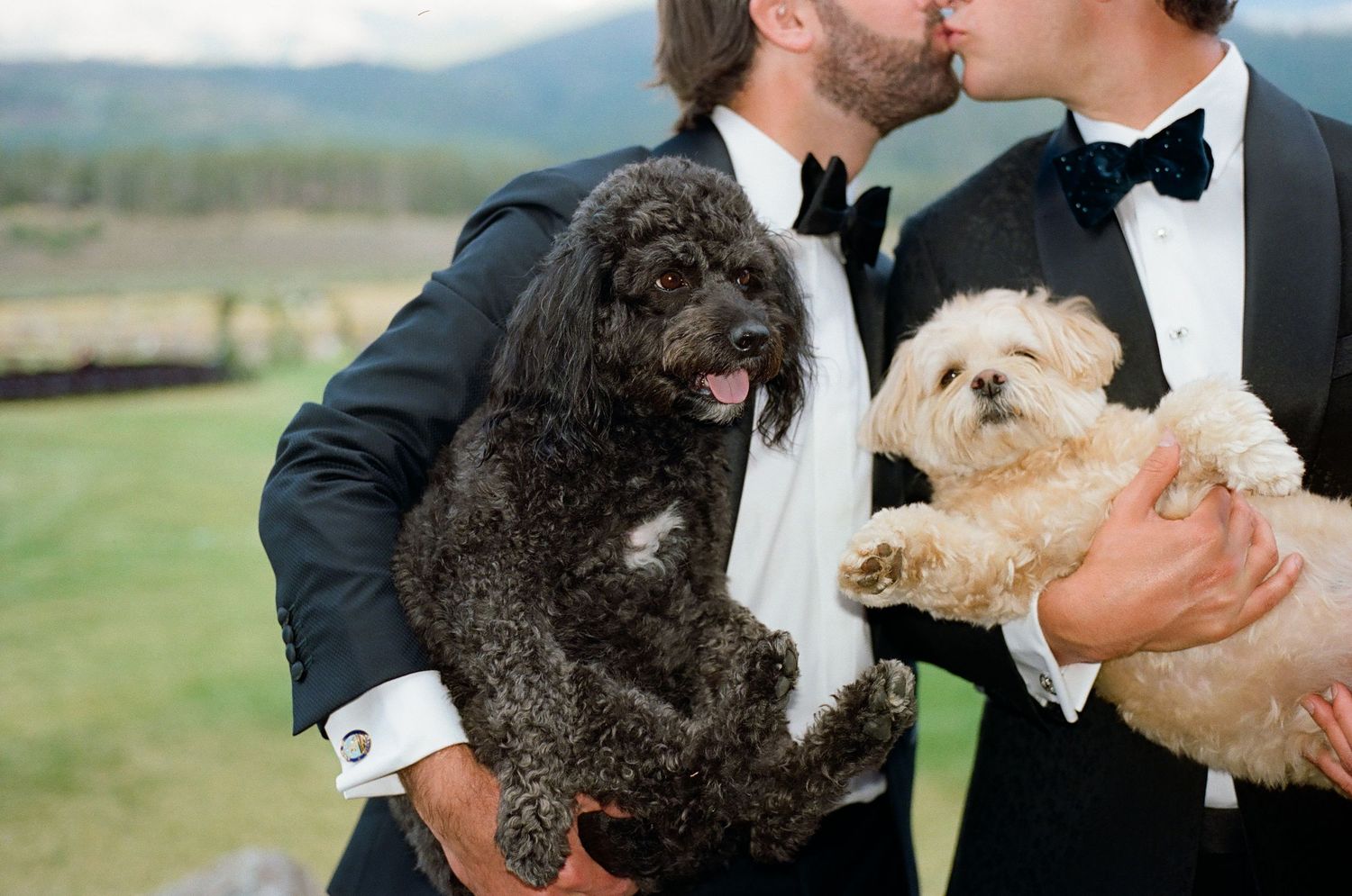 A couple shares an intimate moment while holding a small white dog in formal attire against a mountain backdrop.