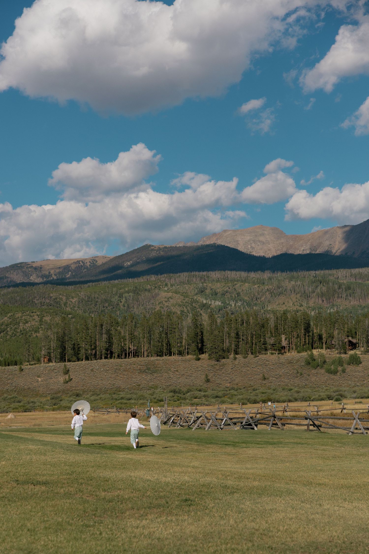 Mountain meadow with wooden fence and evergreen forest under blue summer skies.