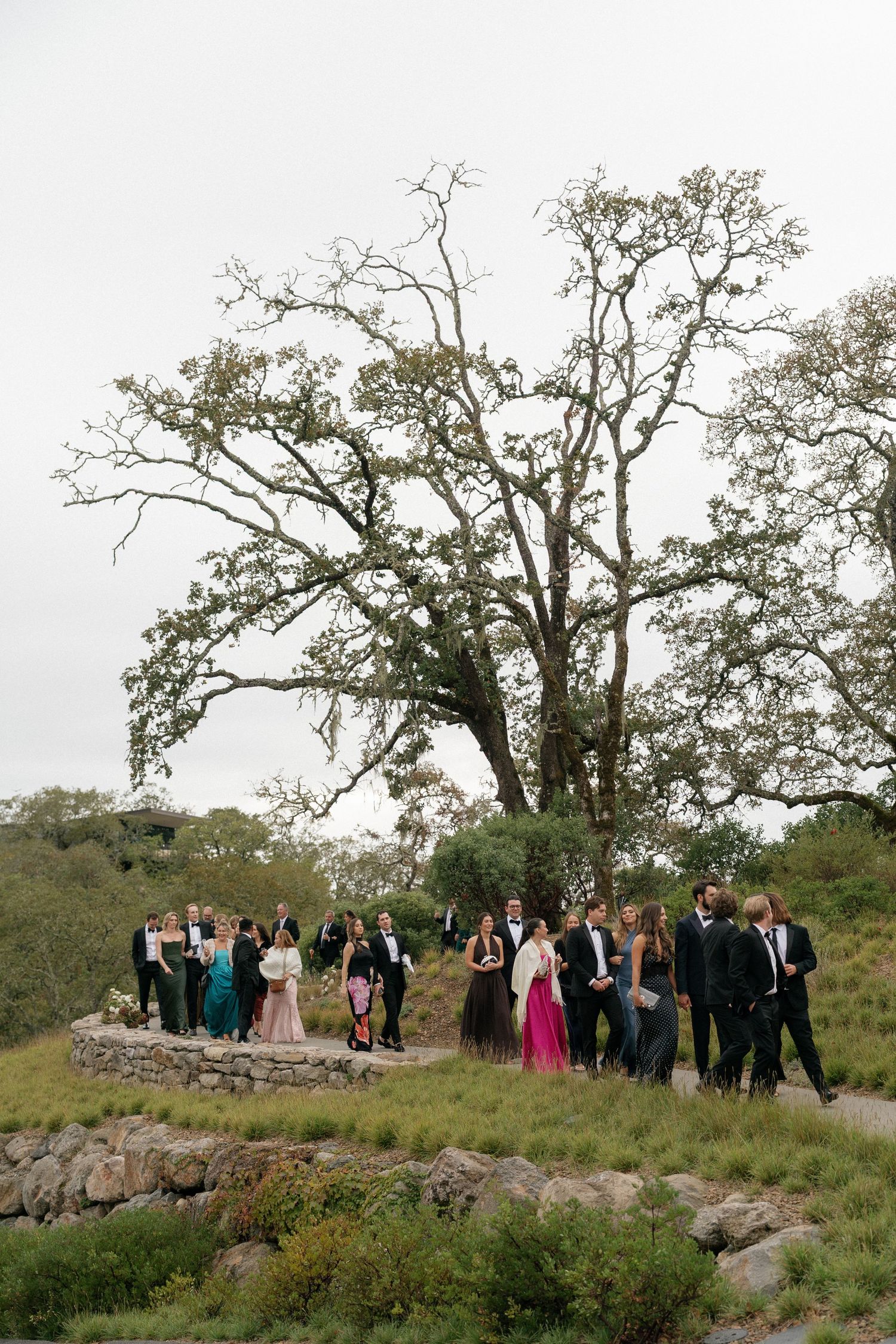 Wedding party poses for photos on a rocky outcrop surrounded by oak trees.