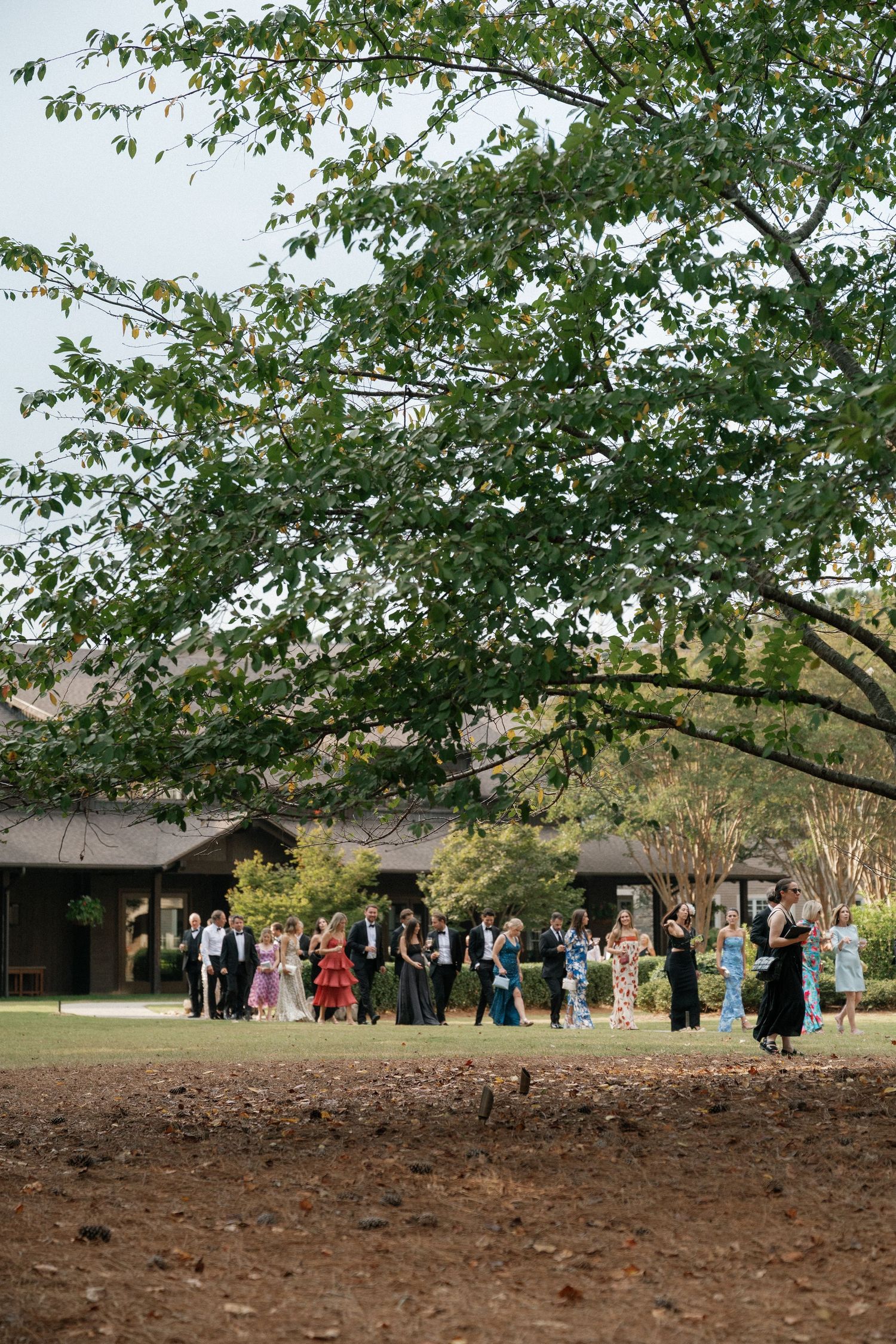 Wedding guests gathered outdoors under blooming trees during a spring celebration.