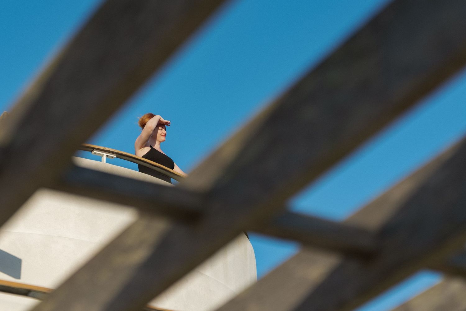 A close-up view of a bird perched on a wooden structure against a blue sky.
