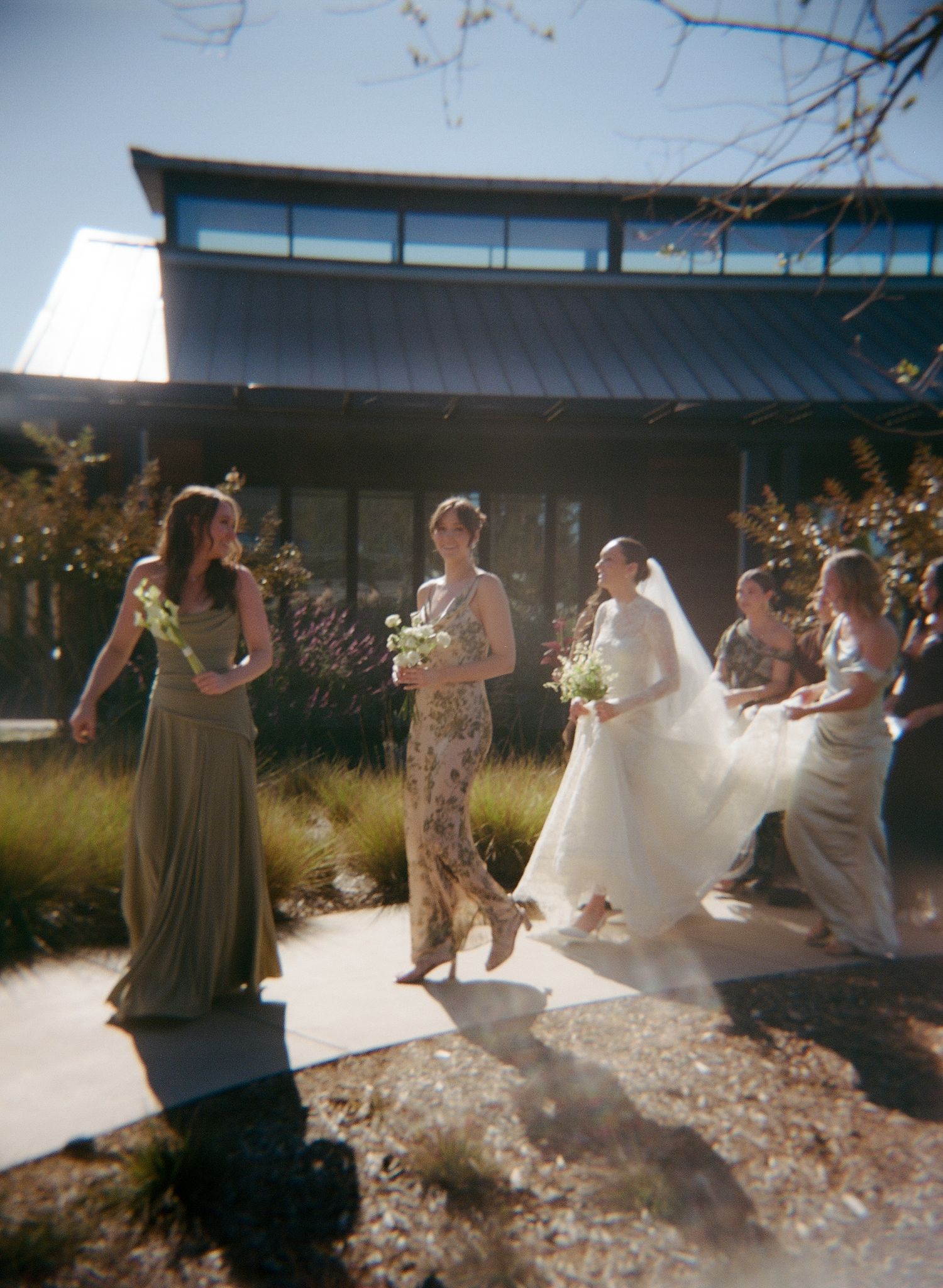 Wedding party celebrates outdoors with the bride's dress catching sunlight.