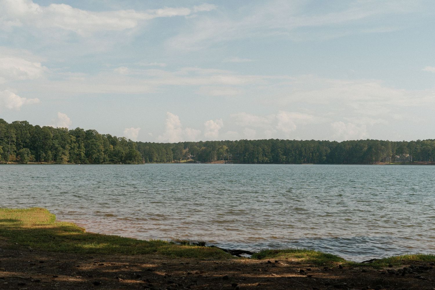 Scenic lakeside wedding venue with tall pine trees and wooden chairs set up for an outdoor ceremony.
