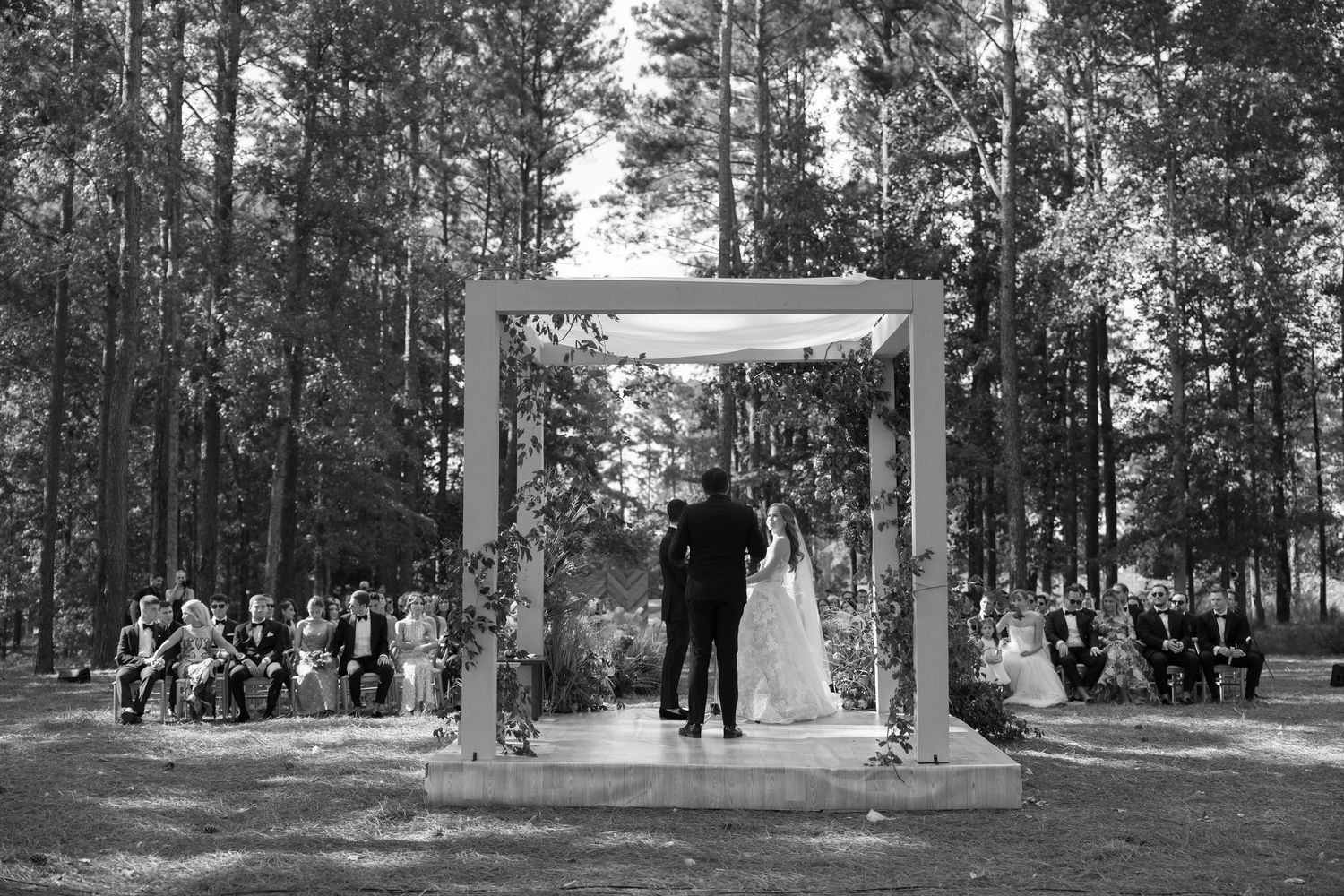 Panoramic view of outdoor wedding ceremony setup with white arch and chairs among pine trees.