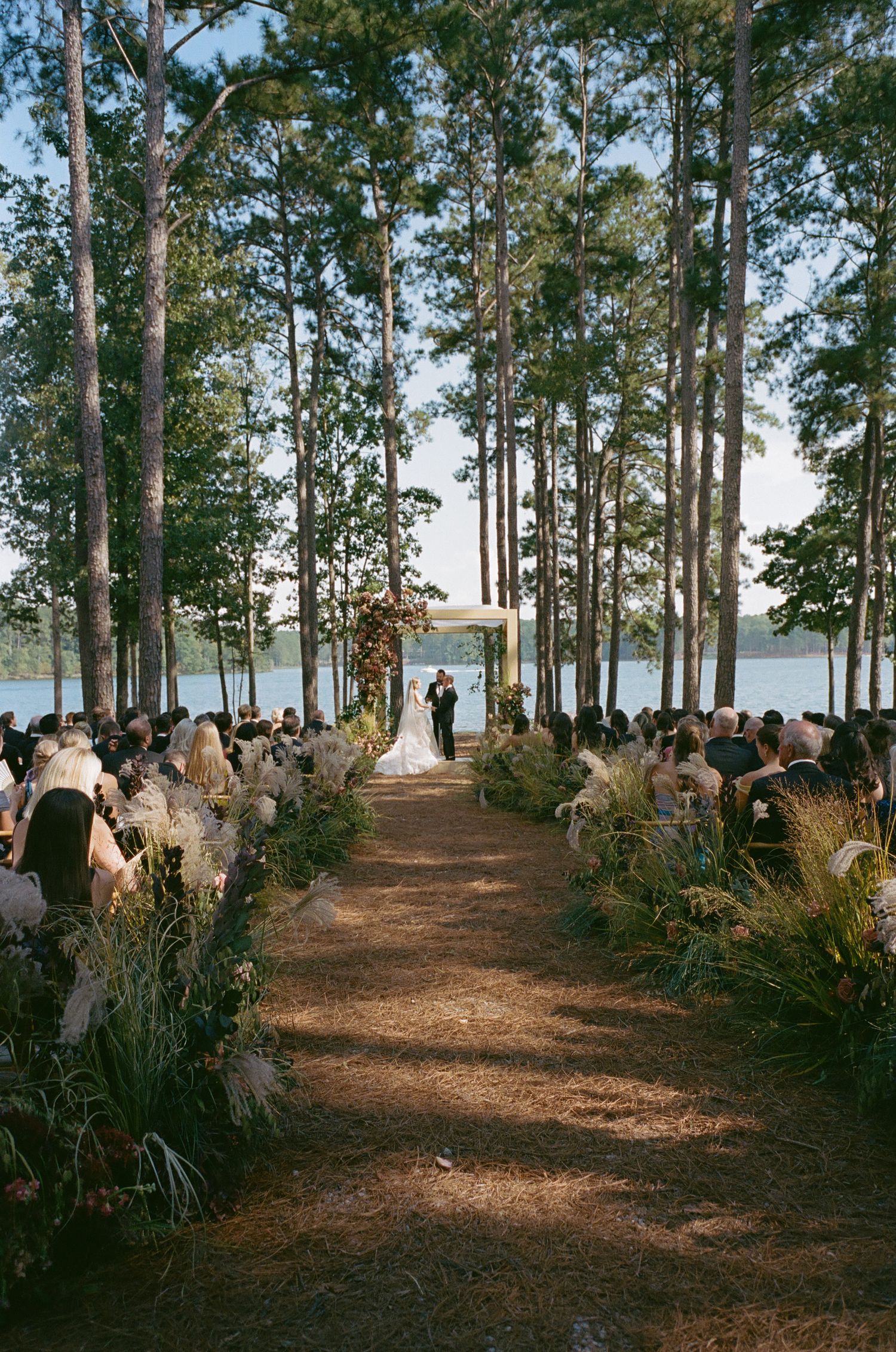 Wedding ceremony site with tall pine trees creating a natural aisle to the water.