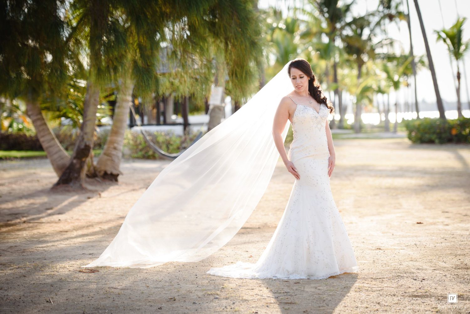 Bride in mermaid wedding gown with flowing veil poses among palm trees on a sunny beach resort.