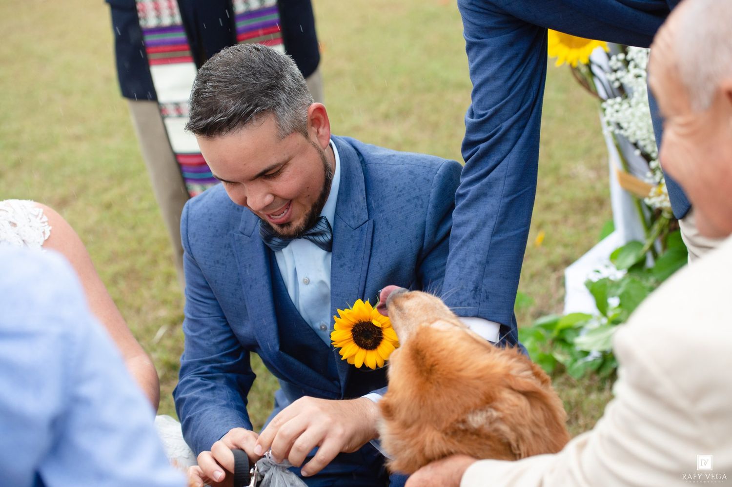 Groom in blue suit smiling at golden retriever wearing sunflower at outdoor wedding.
