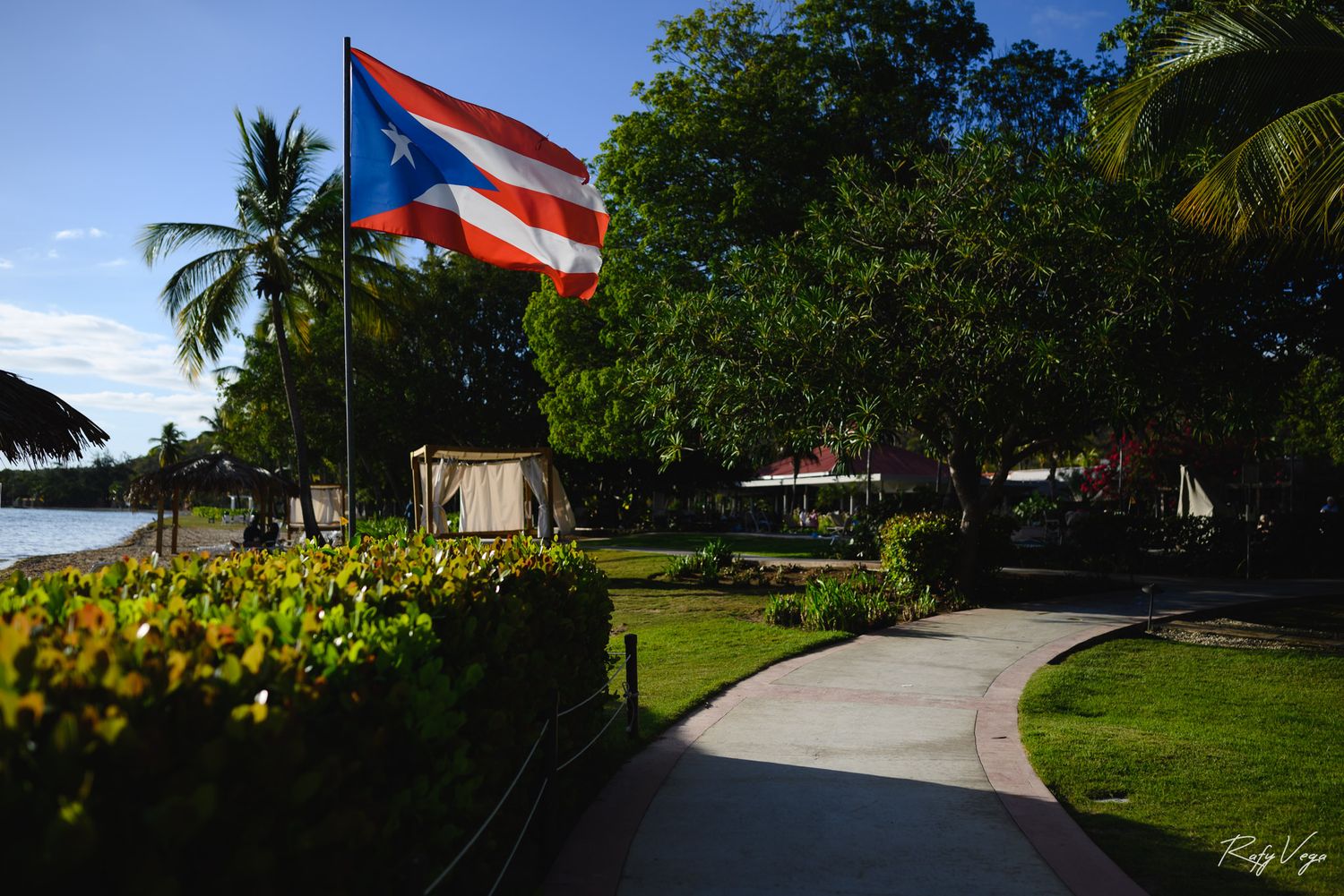 Puerto Rico flag waving proudly on a flagpole in a lush tropical park with palm trees and a curved pathway.
