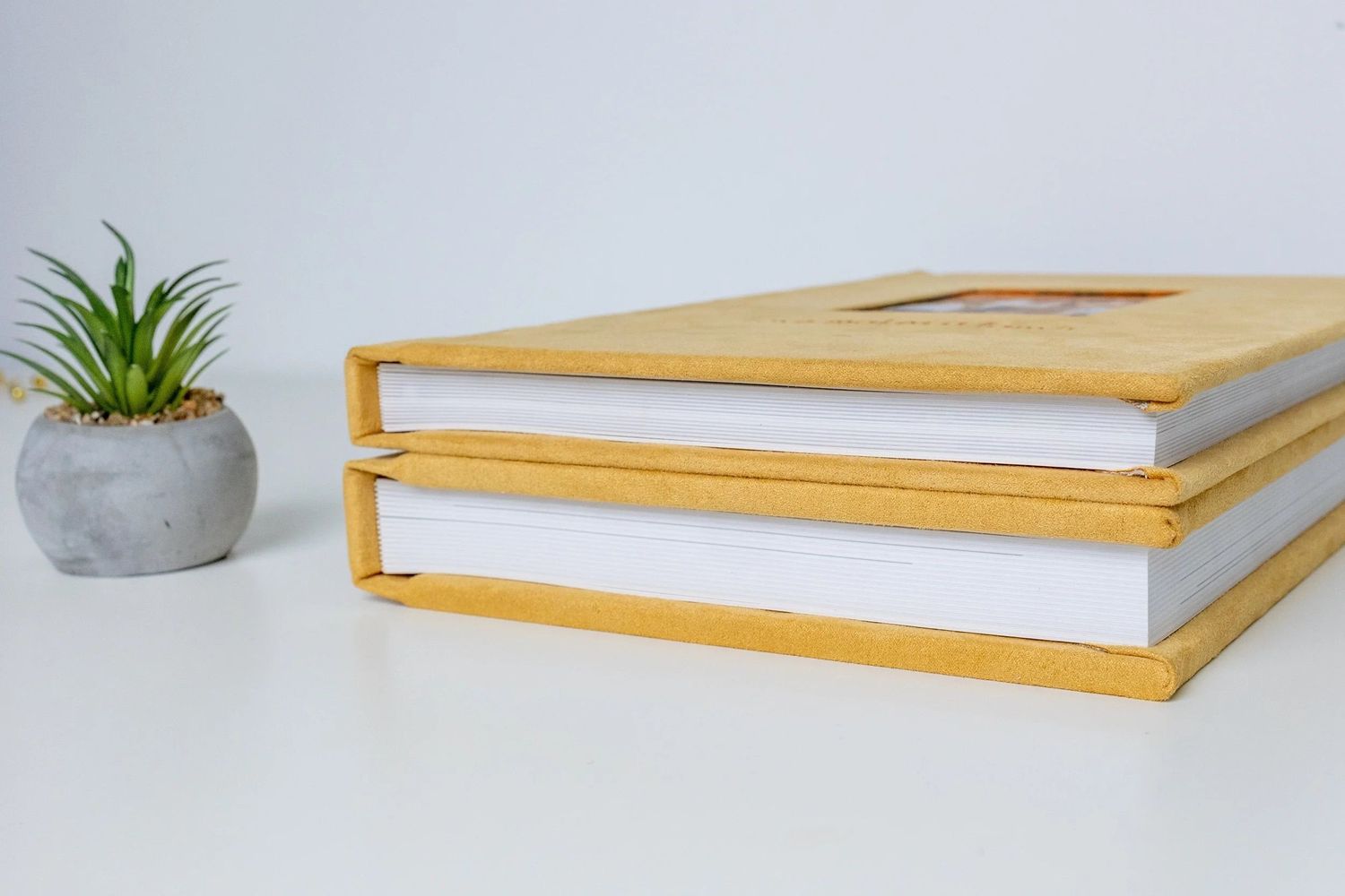 Two gold hardcover photo books stacked on a white surface beside a small succulent in a concrete pot.