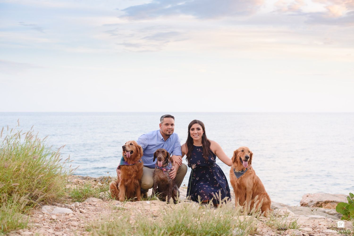 Couple poses with three golden and chocolate Labrador dogs on rocky coastal bluff at sunset.