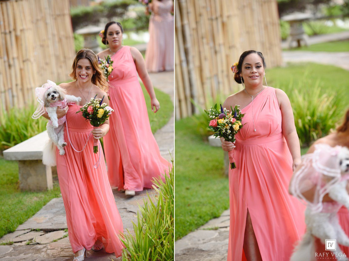 Two bridesmaids in coral one-shoulder gowns, one holding a small dog and one carrying a colorful bouquet, at an outdoor wedding.