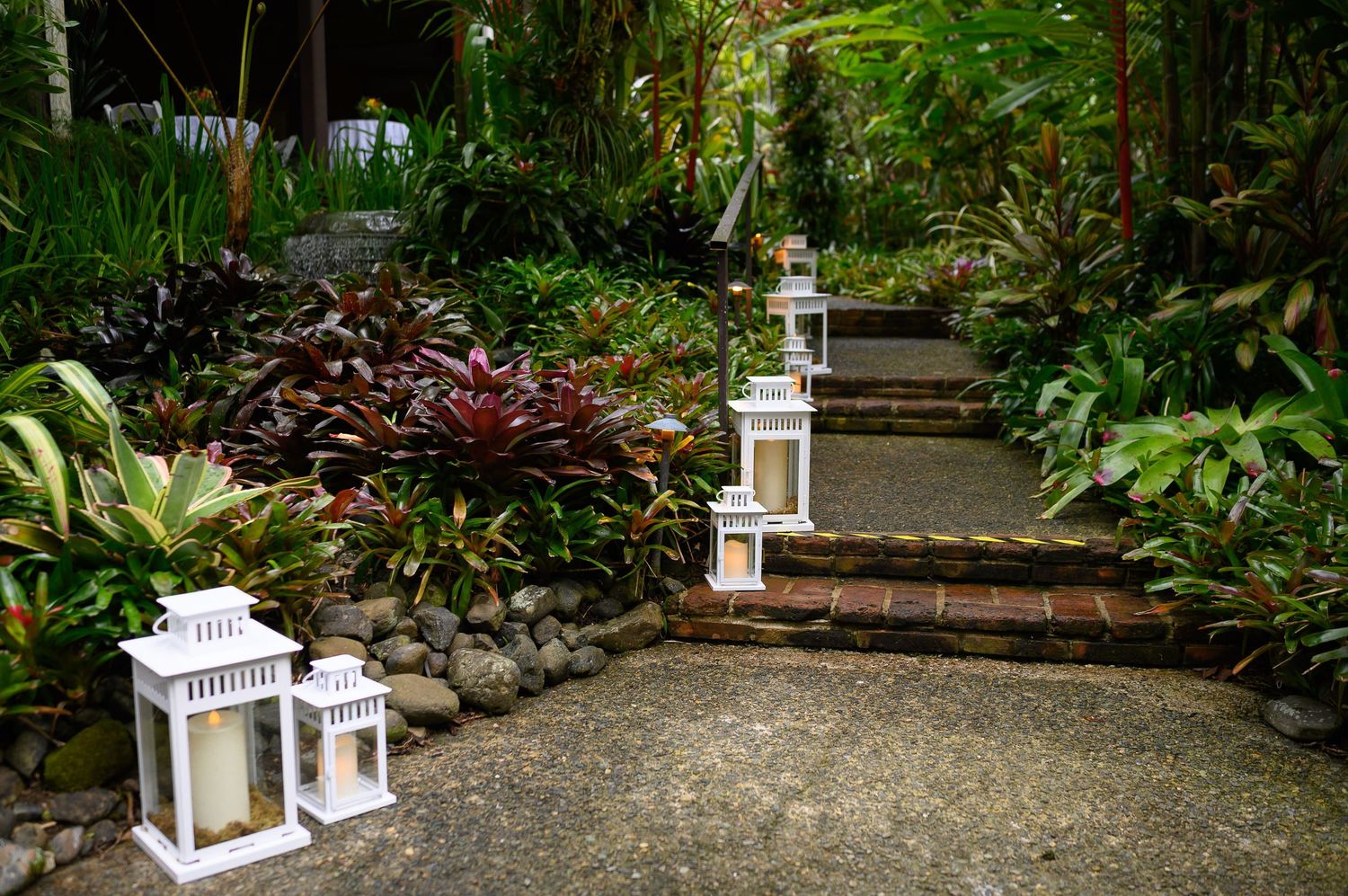 White lanterns line a lush tropical garden pathway with brick steps surrounded by vibrant green and red foliage.