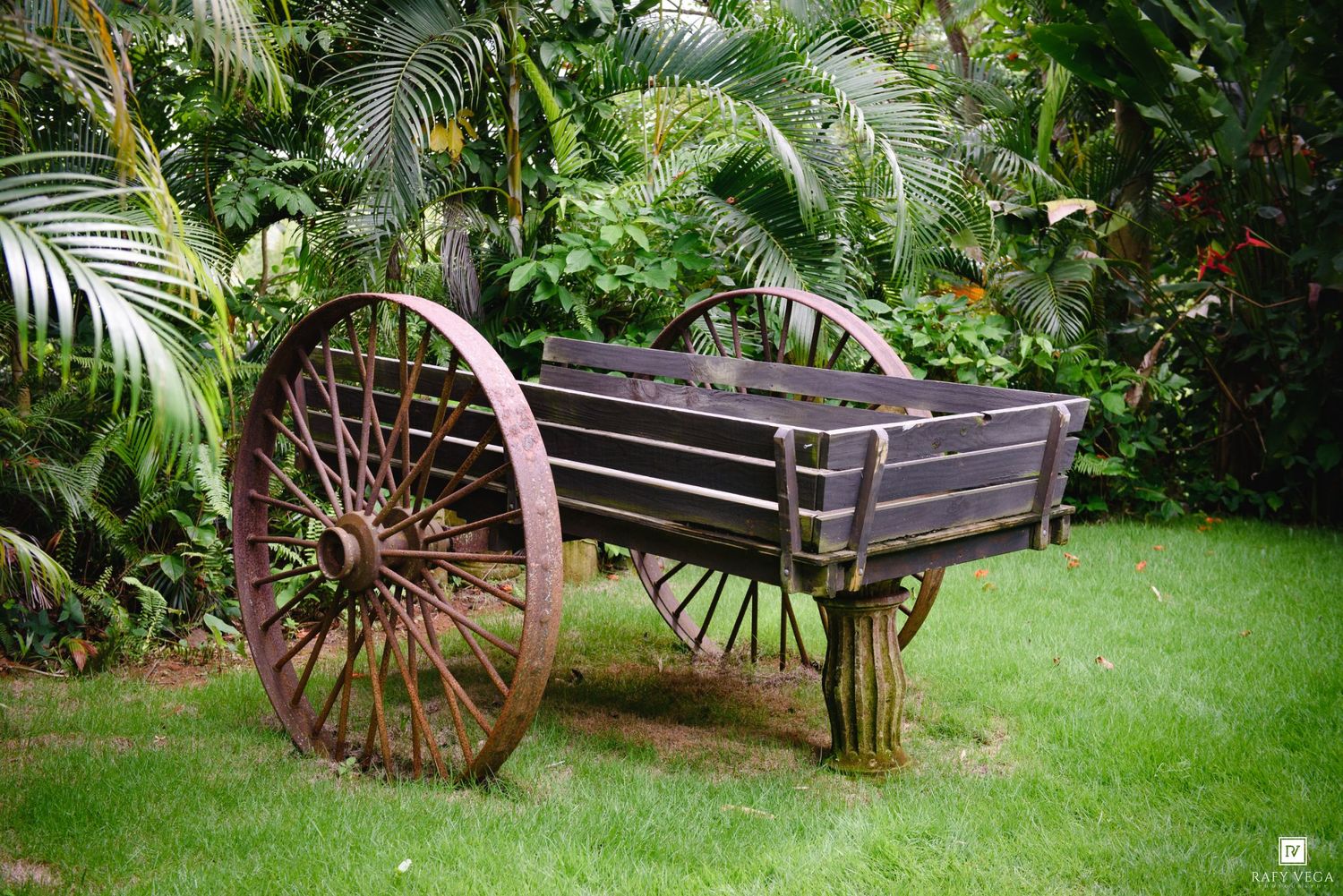 Antique wooden wagon with large rustic iron spoke wheels displayed on green grass surrounded by lush tropical garden foliage.