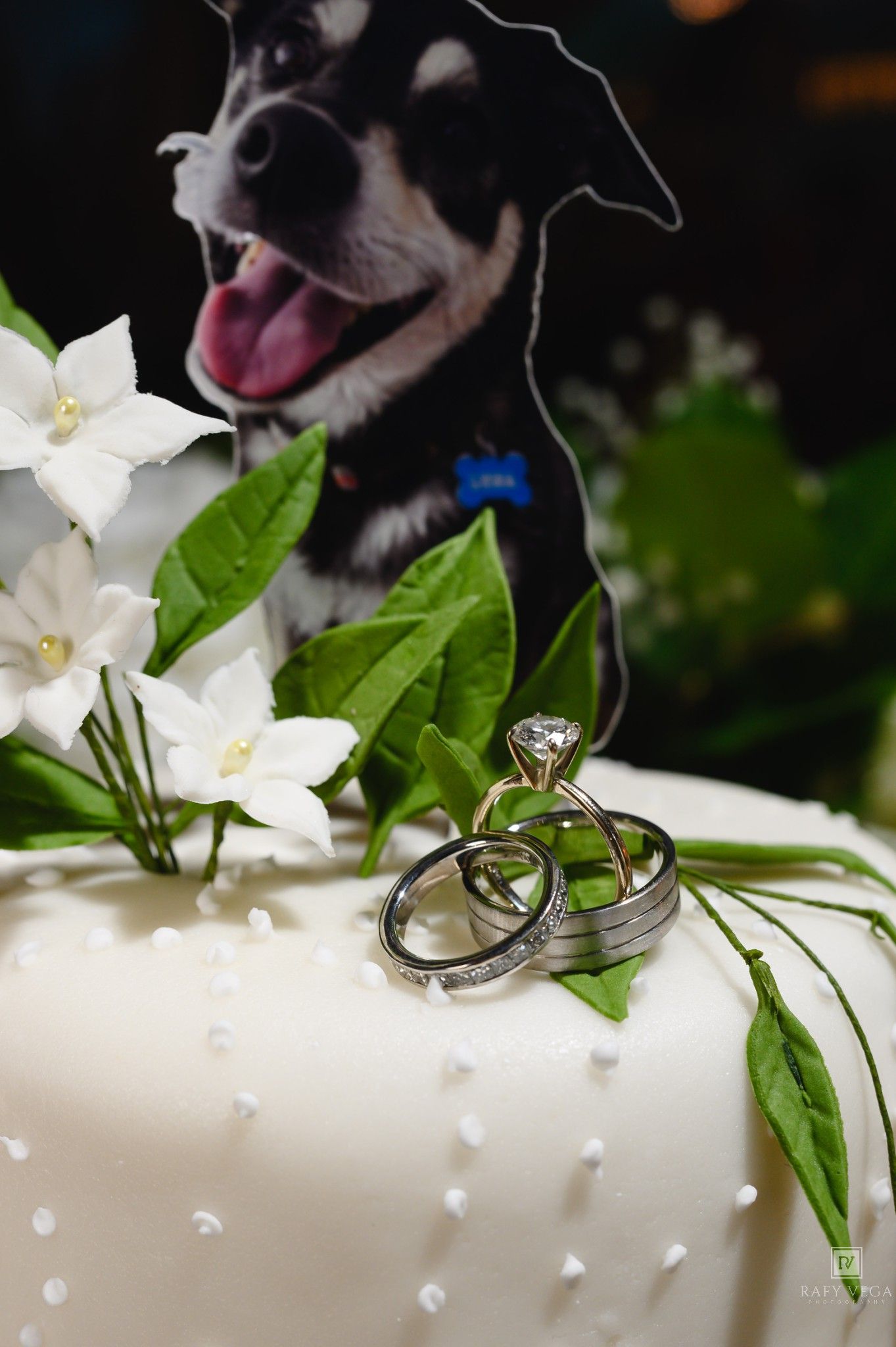 Wedding rings displayed on white fondant cake with dog cutout and white flower decorations.