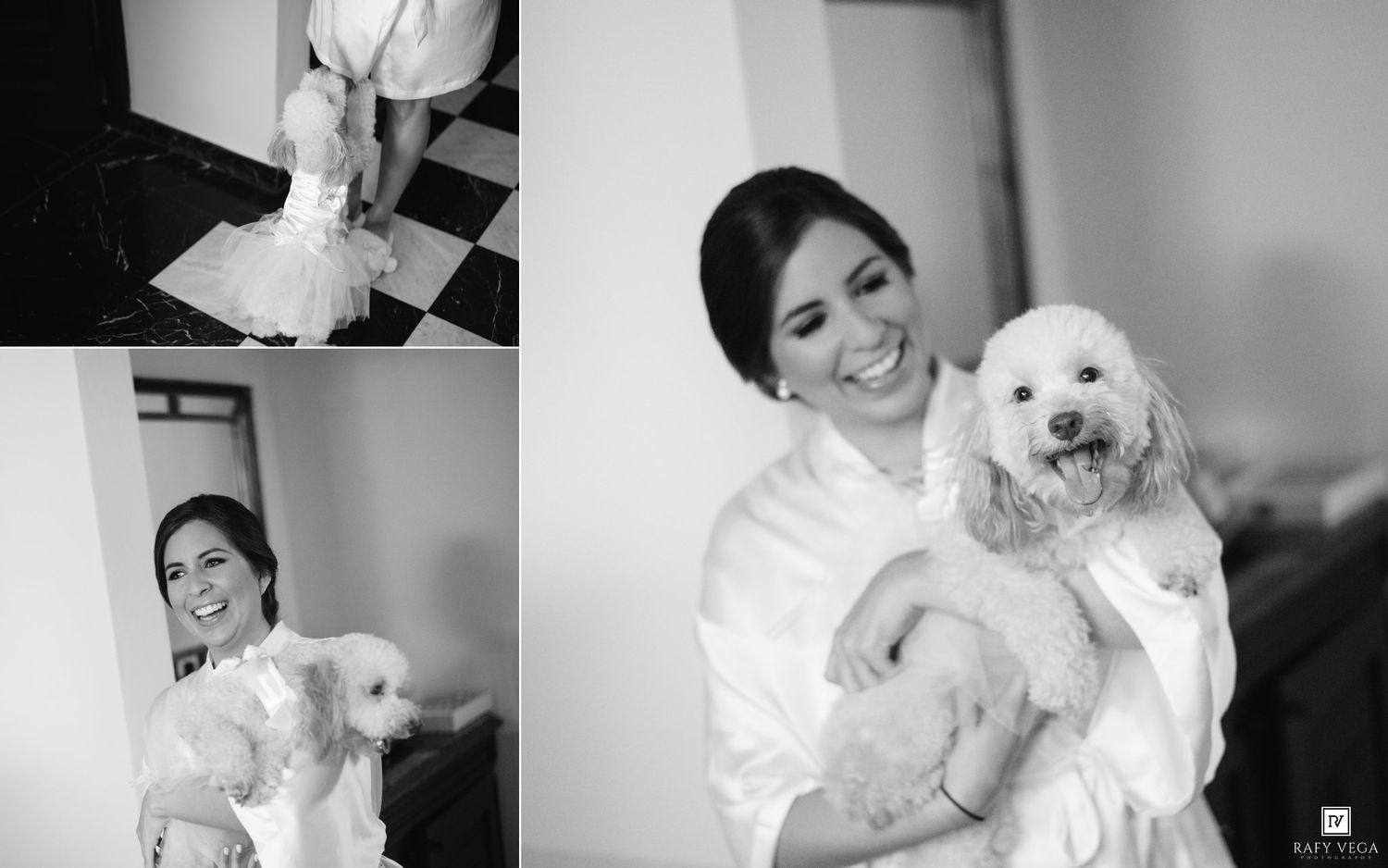 Black and white photo of a smiling bride in a white robe holding a fluffy white poodle on her wedding day.