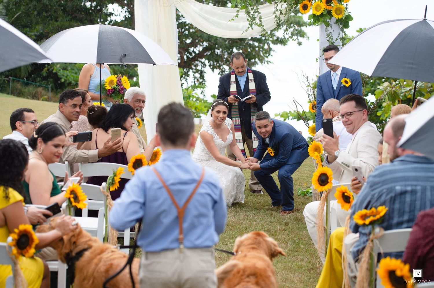 Outdoor wedding ceremony with guests holding umbrellas, sunflower decorations, and a dog attending the celebration.