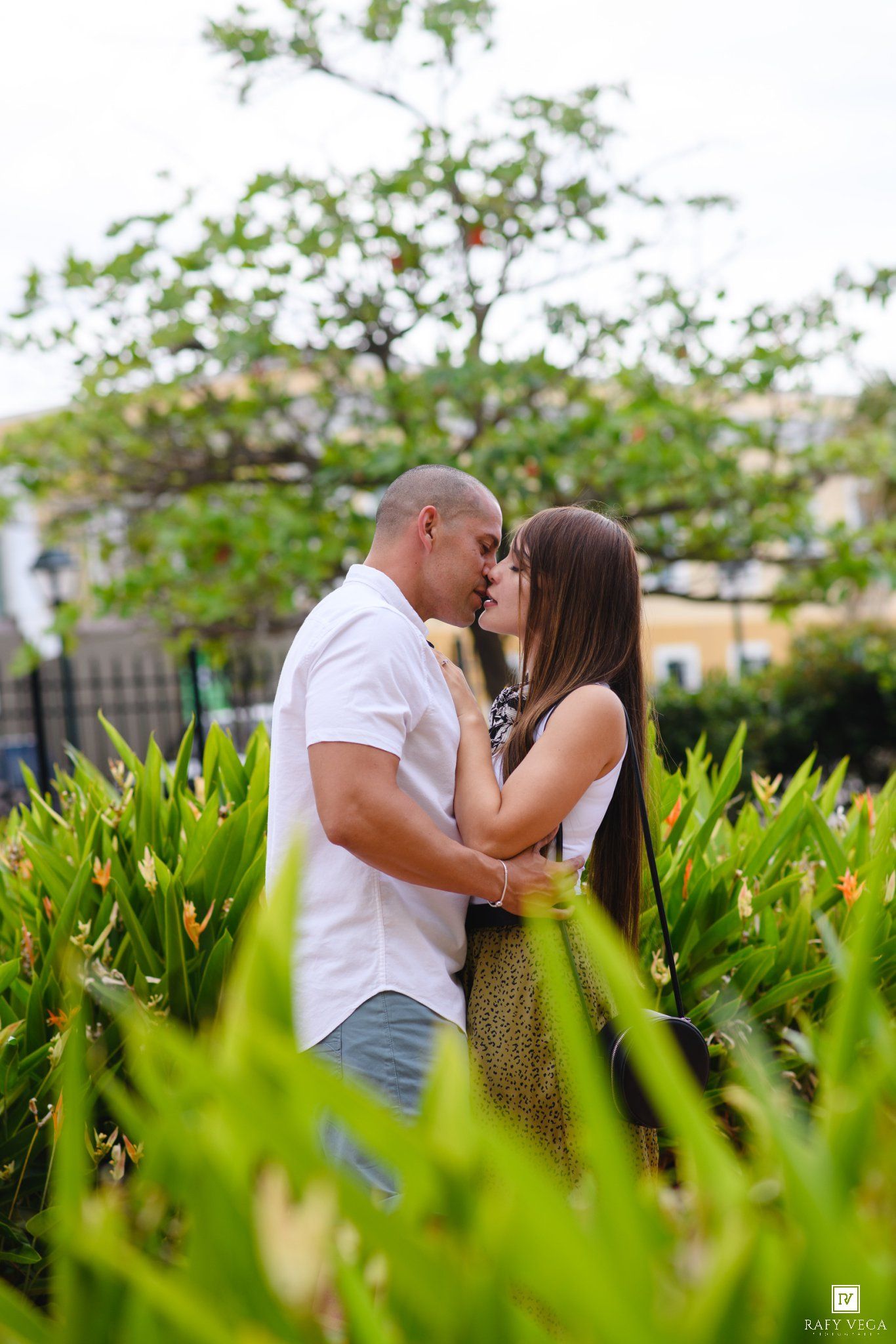 Romantic couple sharing a kiss surrounded by lush tropical greenery in an outdoor garden setting.