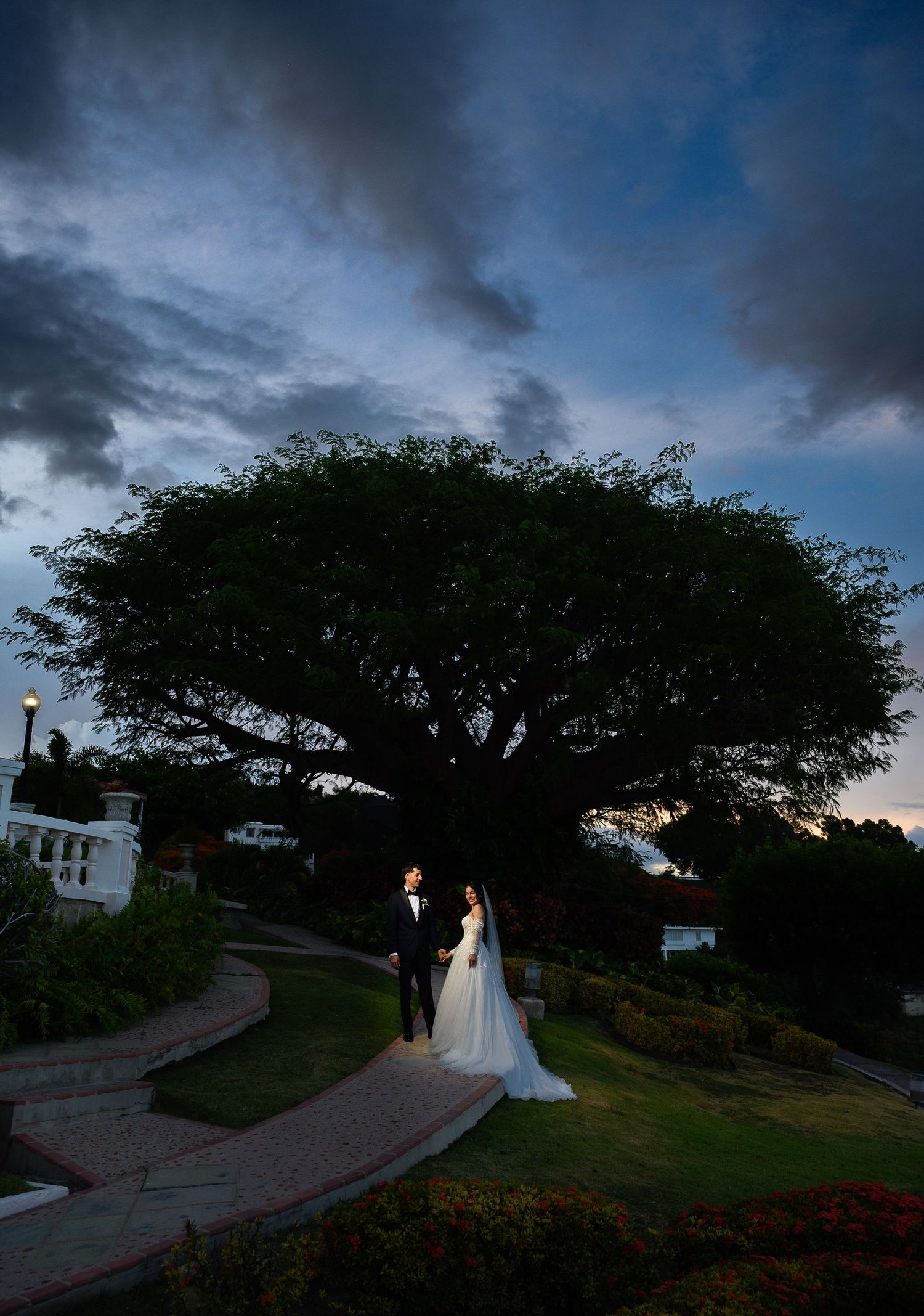 Bride and groom stand beneath a sprawling tree at dusk, with dramatic blue clouds and lush gardens at their wedding venue.