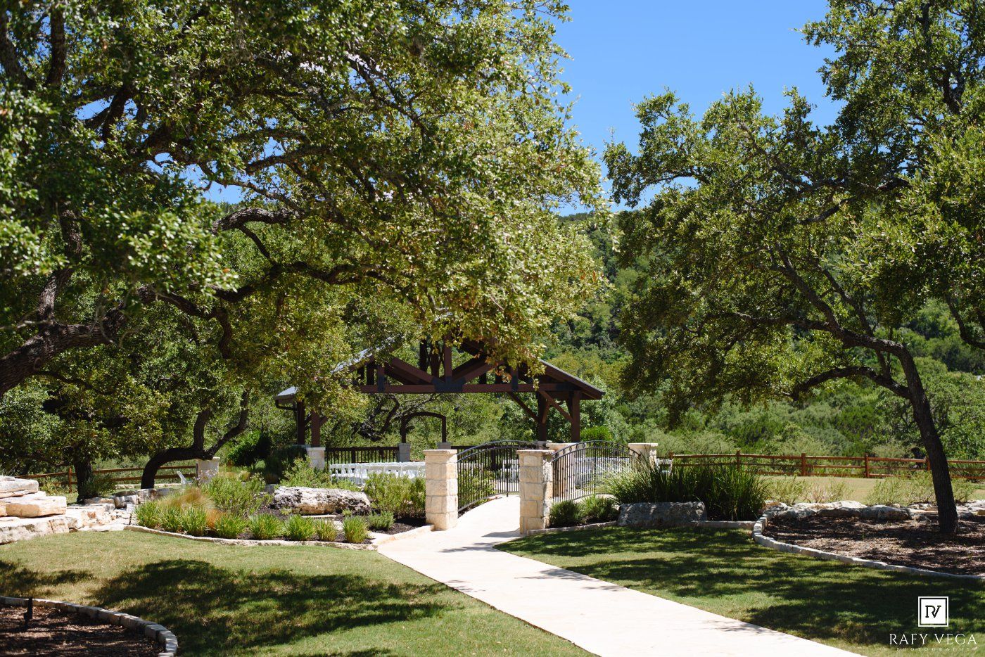 Scenic Texas Hill Country garden path lined with native oak trees leading to a rustic wooden pavilion on a sunny day.