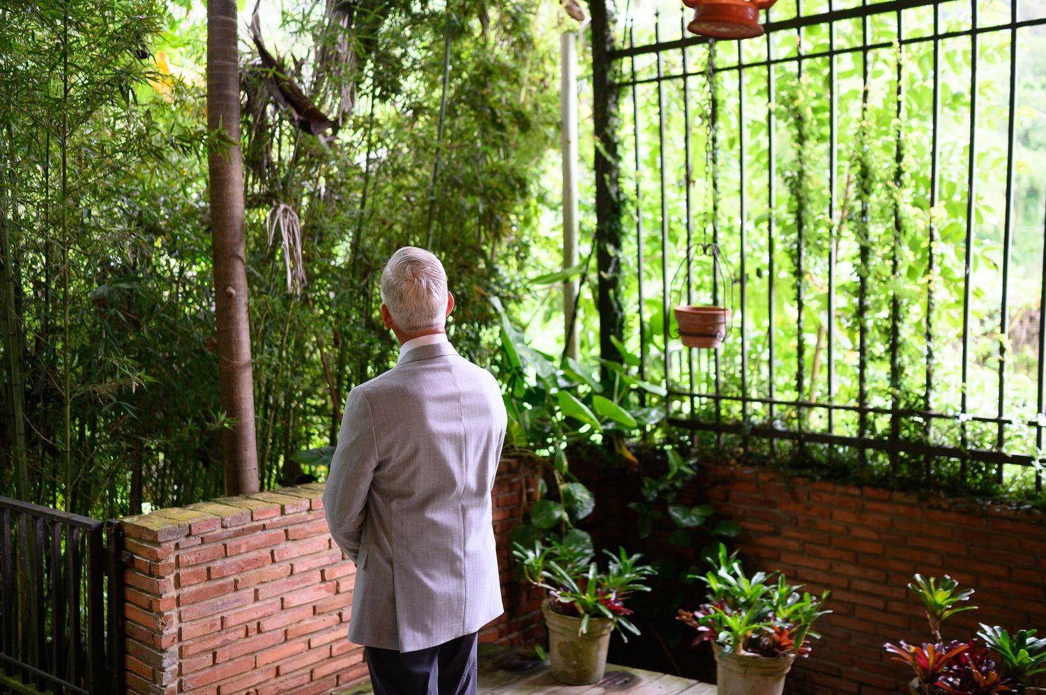 Elderly man standing on a brick patio gazing at lush green garden through ornate iron fence.