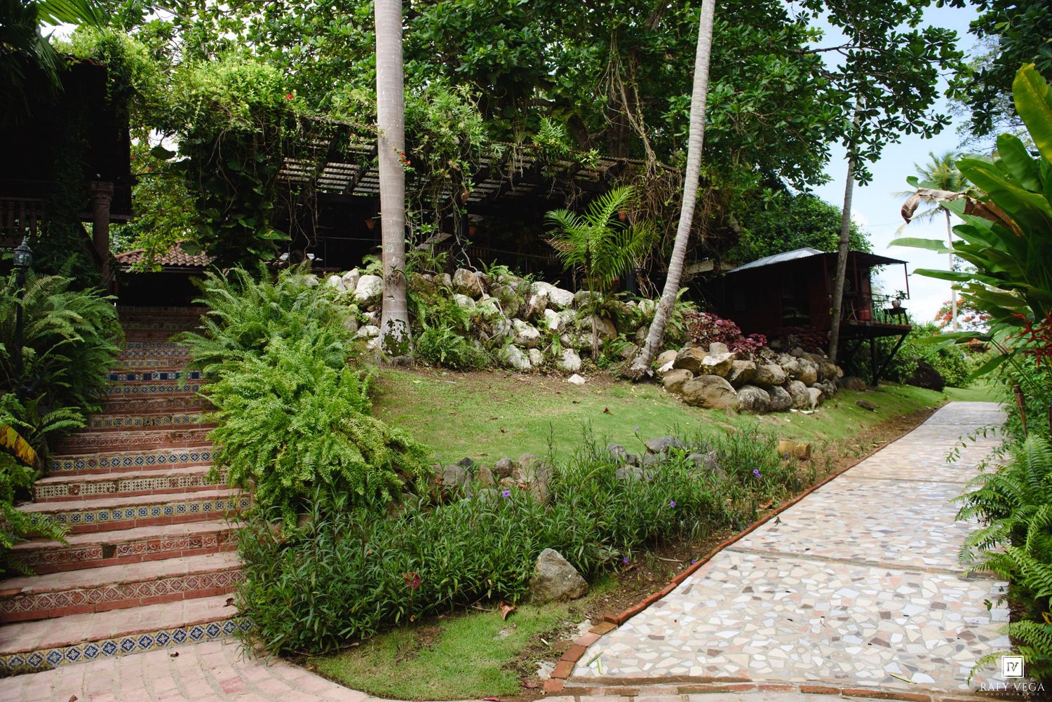 Lush tropical garden with stone pathway, palm trees, brick stairs, and vibrant greenery surrounding a hillside property.