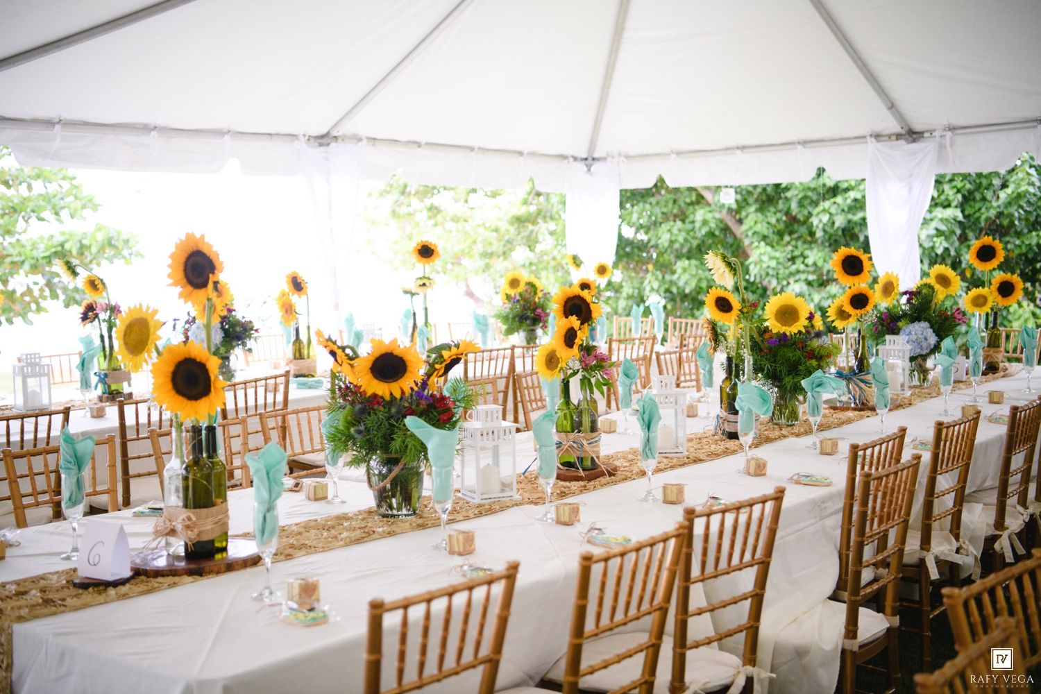 Elegant wedding reception under a white tent with long tables adorned with vibrant sunflower centerpieces and gold chiavari chairs.