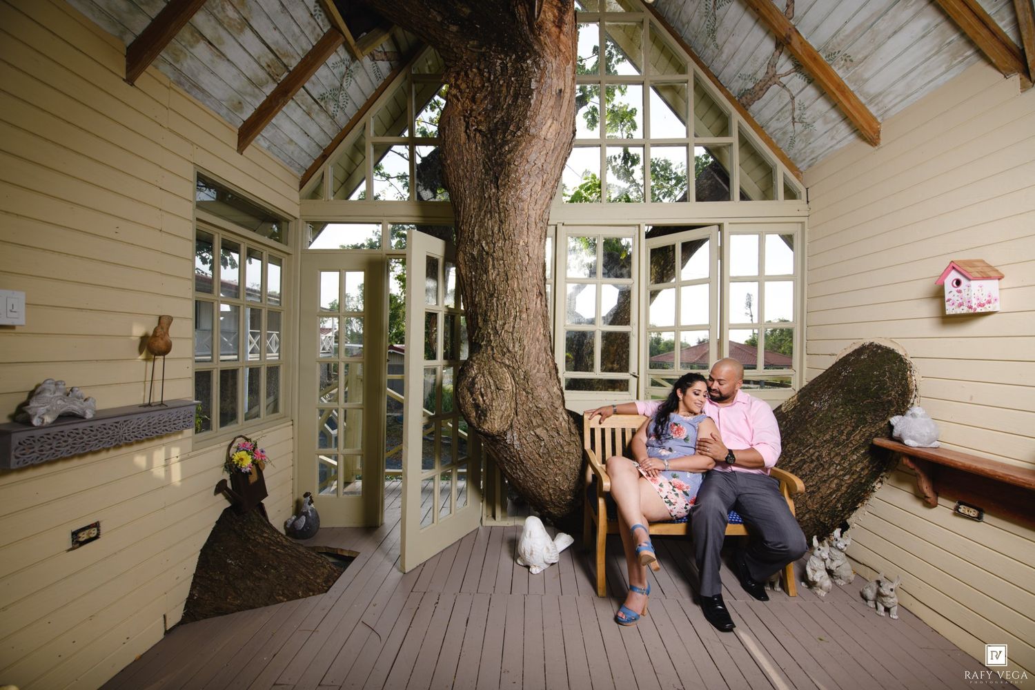Couple sitting together on a bench inside a charming treehouse with large windows and a tree growing through the center.