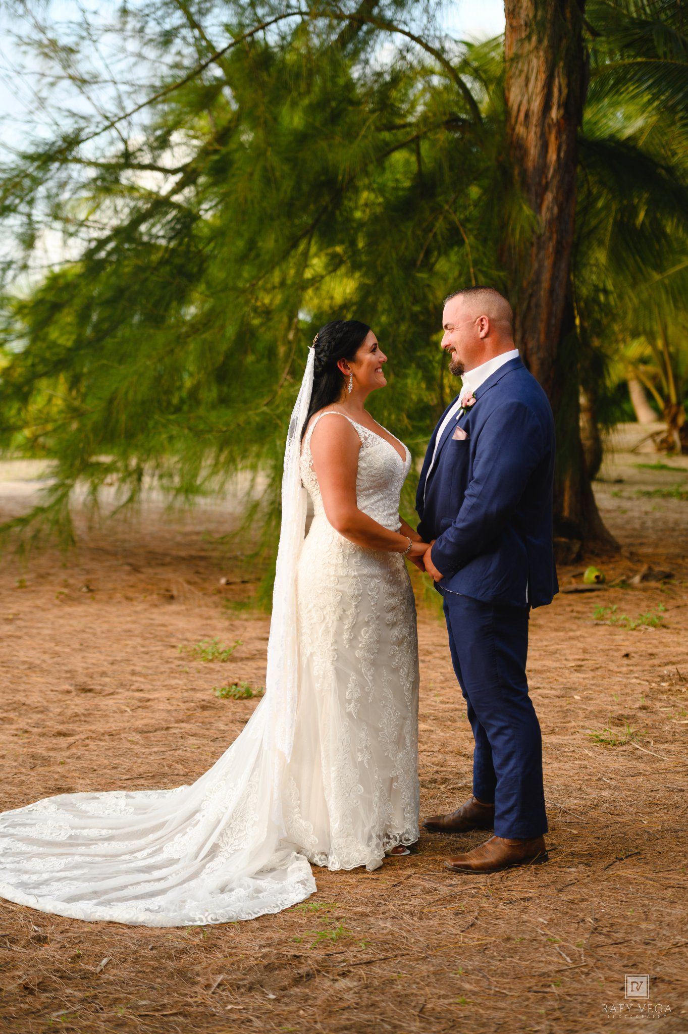 Bride and groom hold hands facing each other under a tree on sandy ground, bride in lace gown with veil, groom in navy suit.