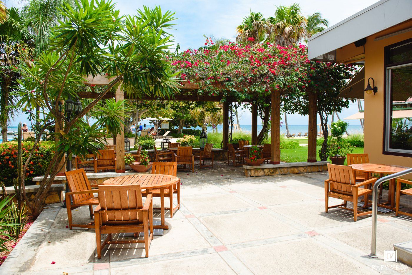 Outdoor patio dining area with wooden chairs and tables, tropical plants, and ocean views on a sunny day.